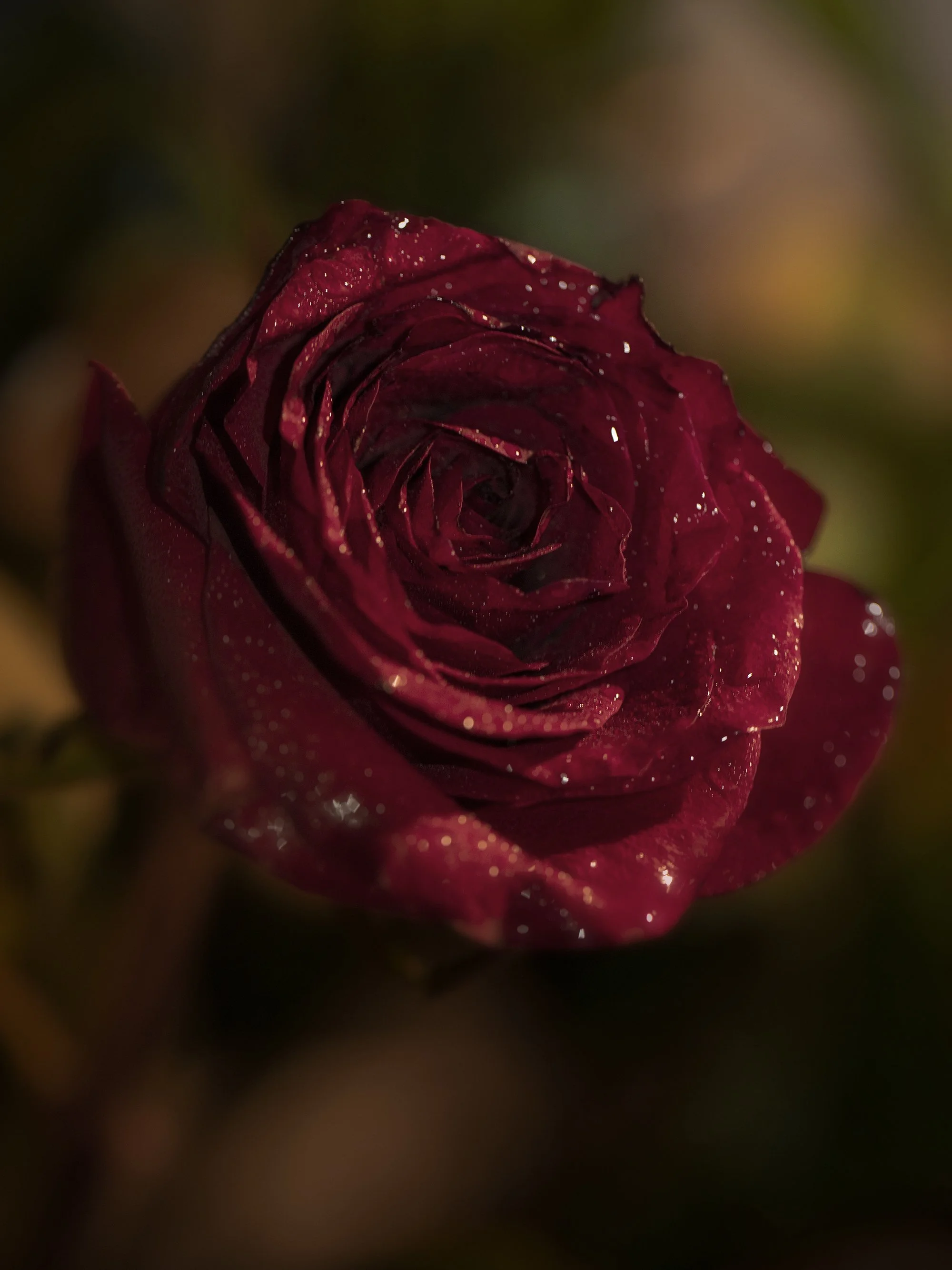 _L4A0527-ForWeb-2026.jpg