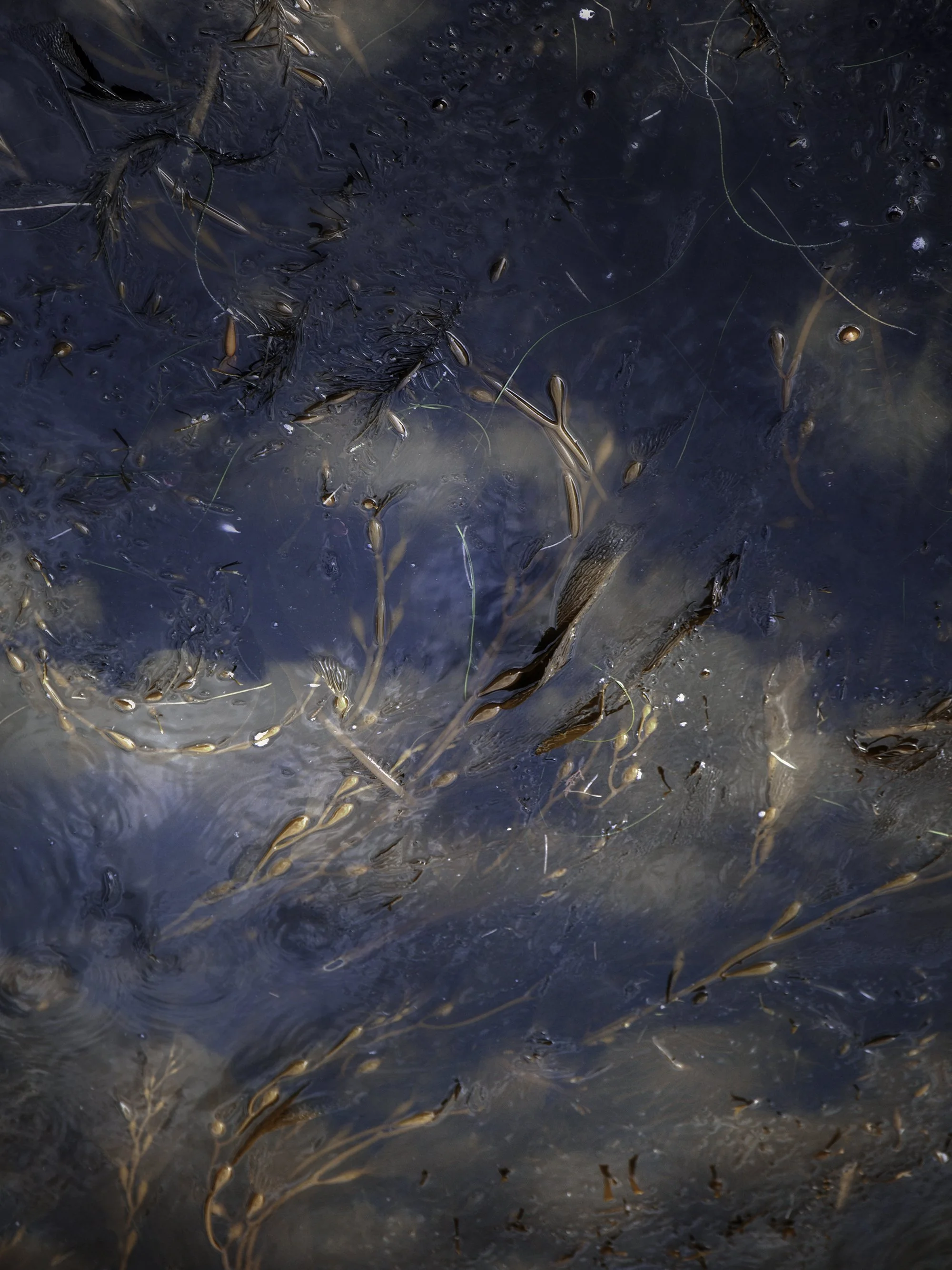P07A7202-ForWeb-2026.jpg