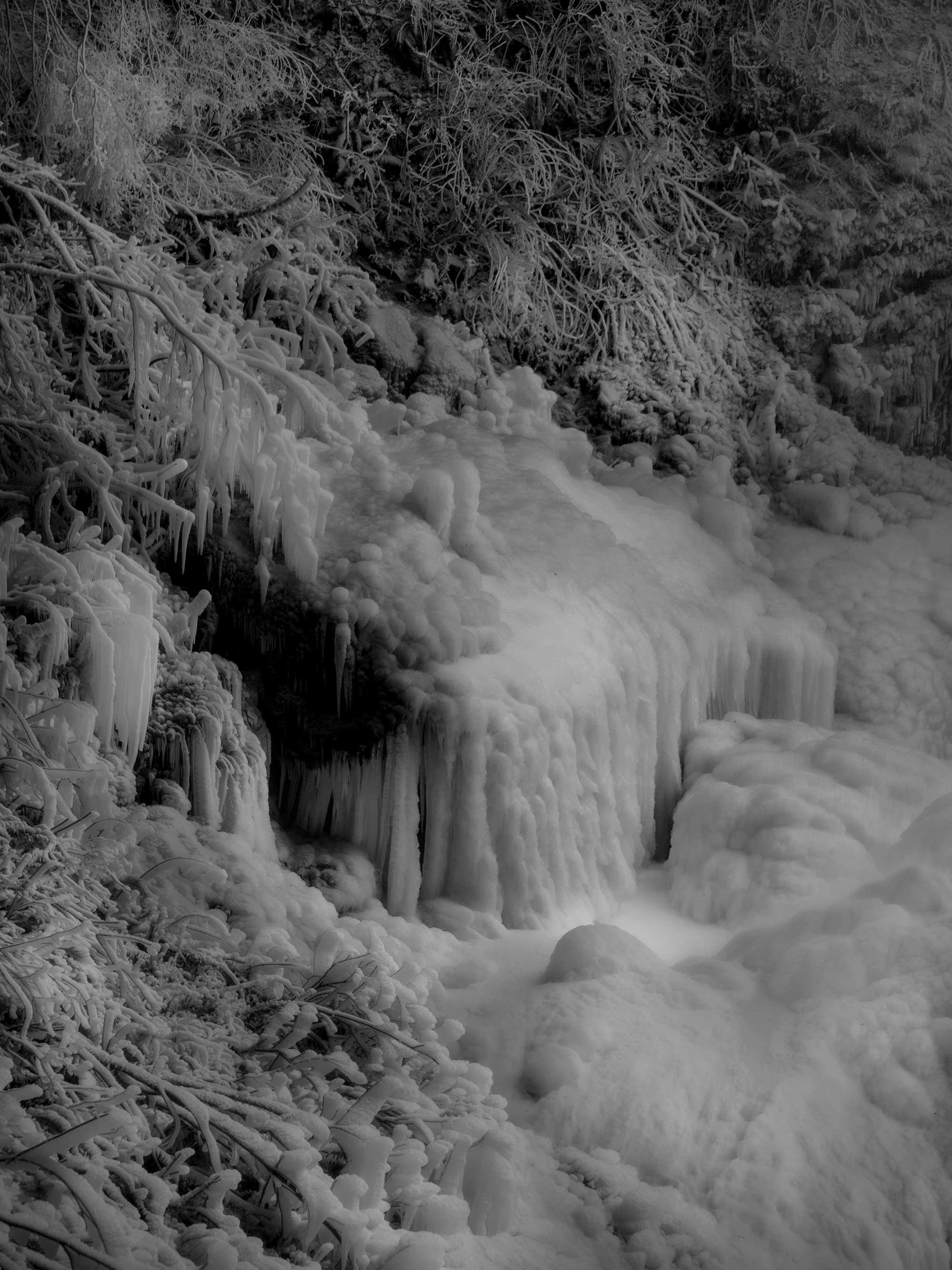 Frozen waterfall surrounded by snow-covered trees and branches.