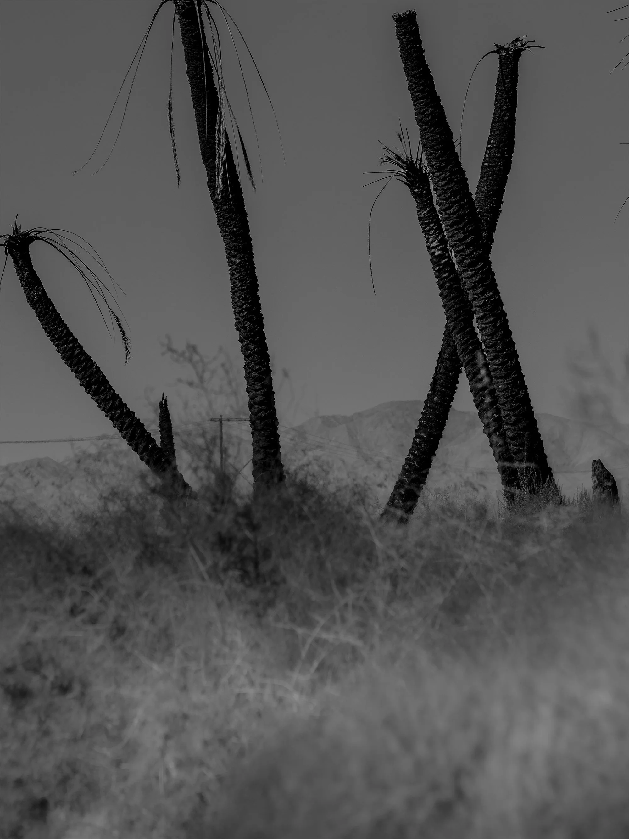 0L4A7869-ForWeb-2026.jpg