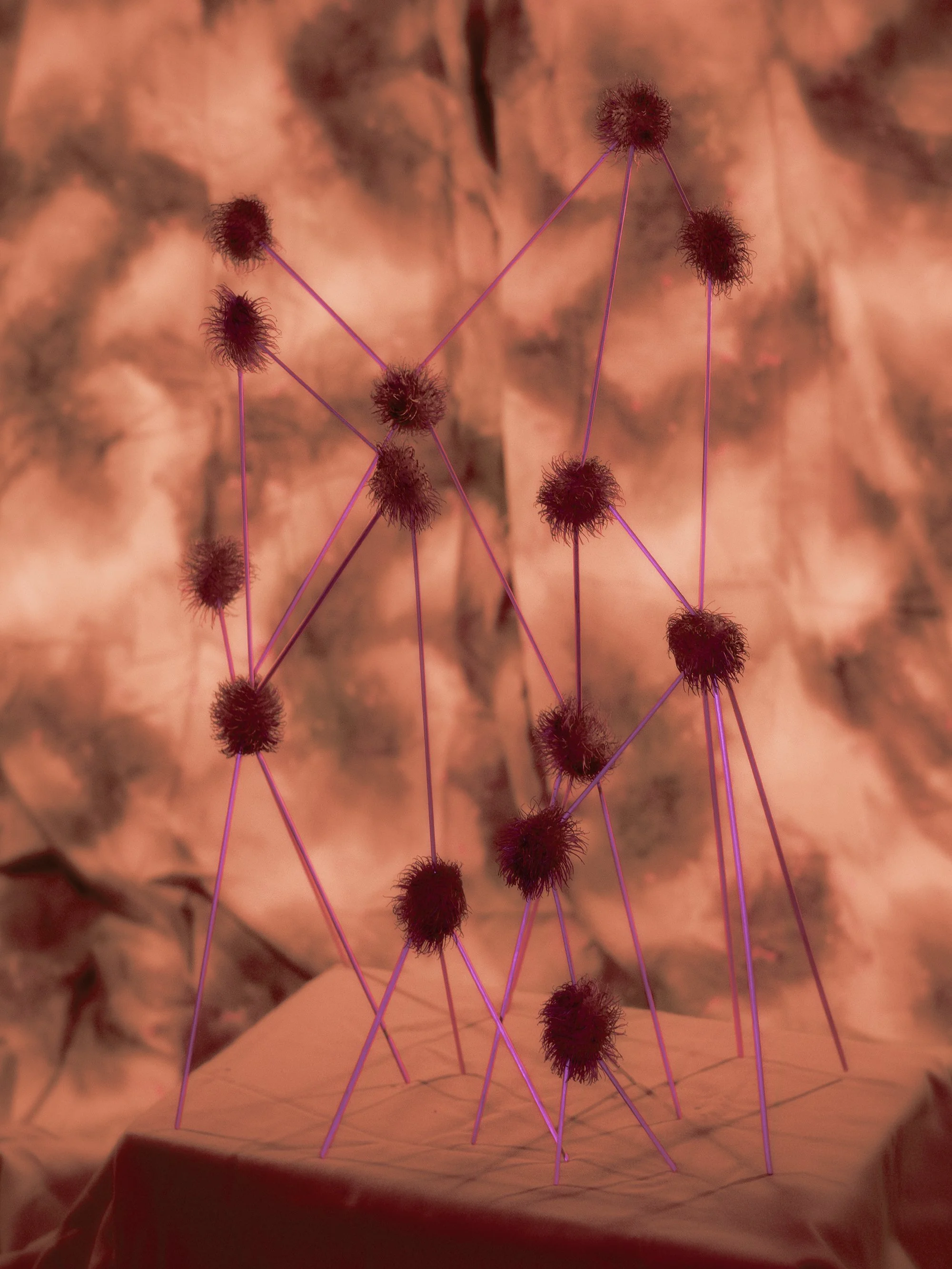 0L4A0721-ForWeb.jpg