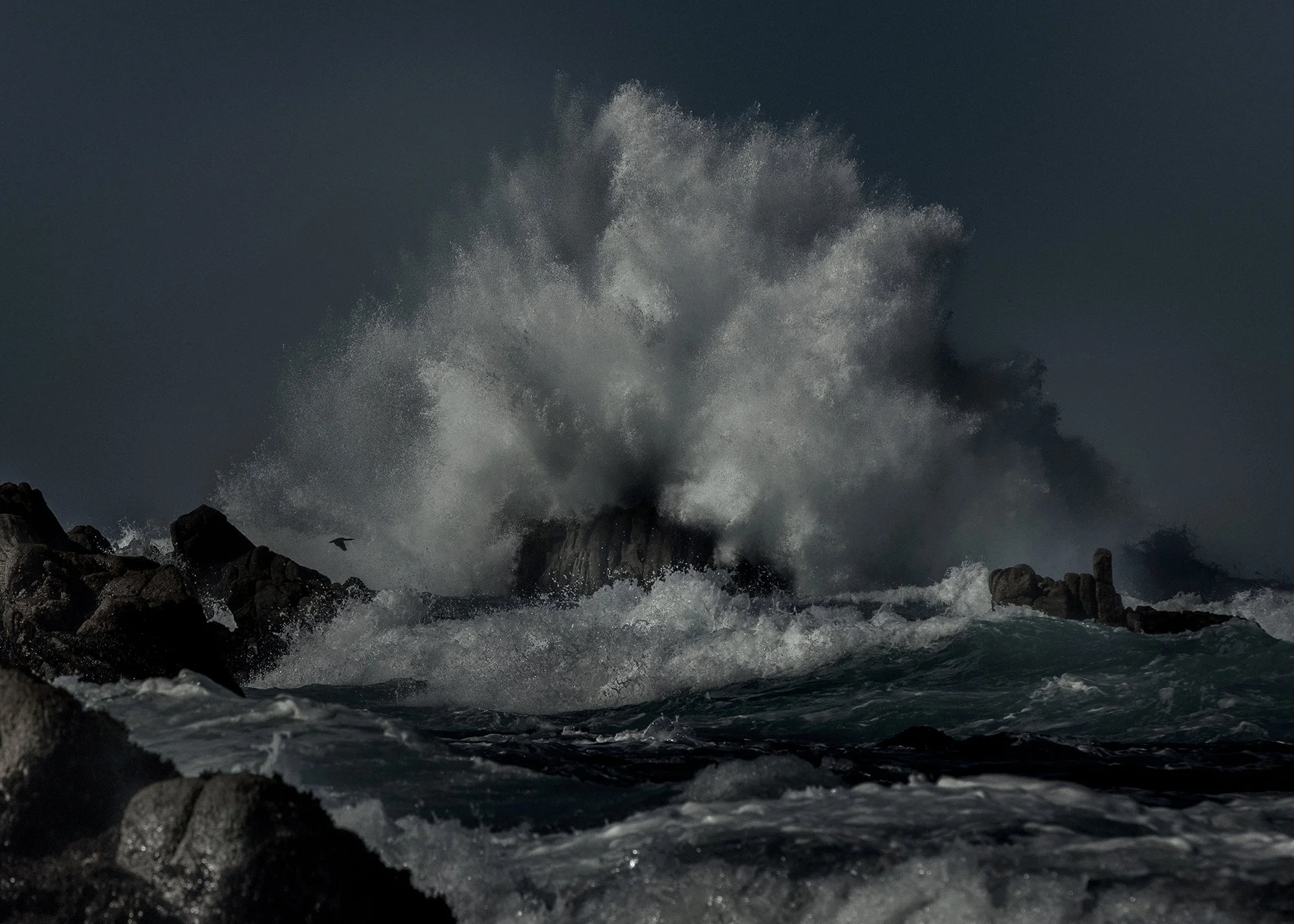 Ocean waves crashing against rocks during a storm, with a dark sky and a single bird flying near the waves.