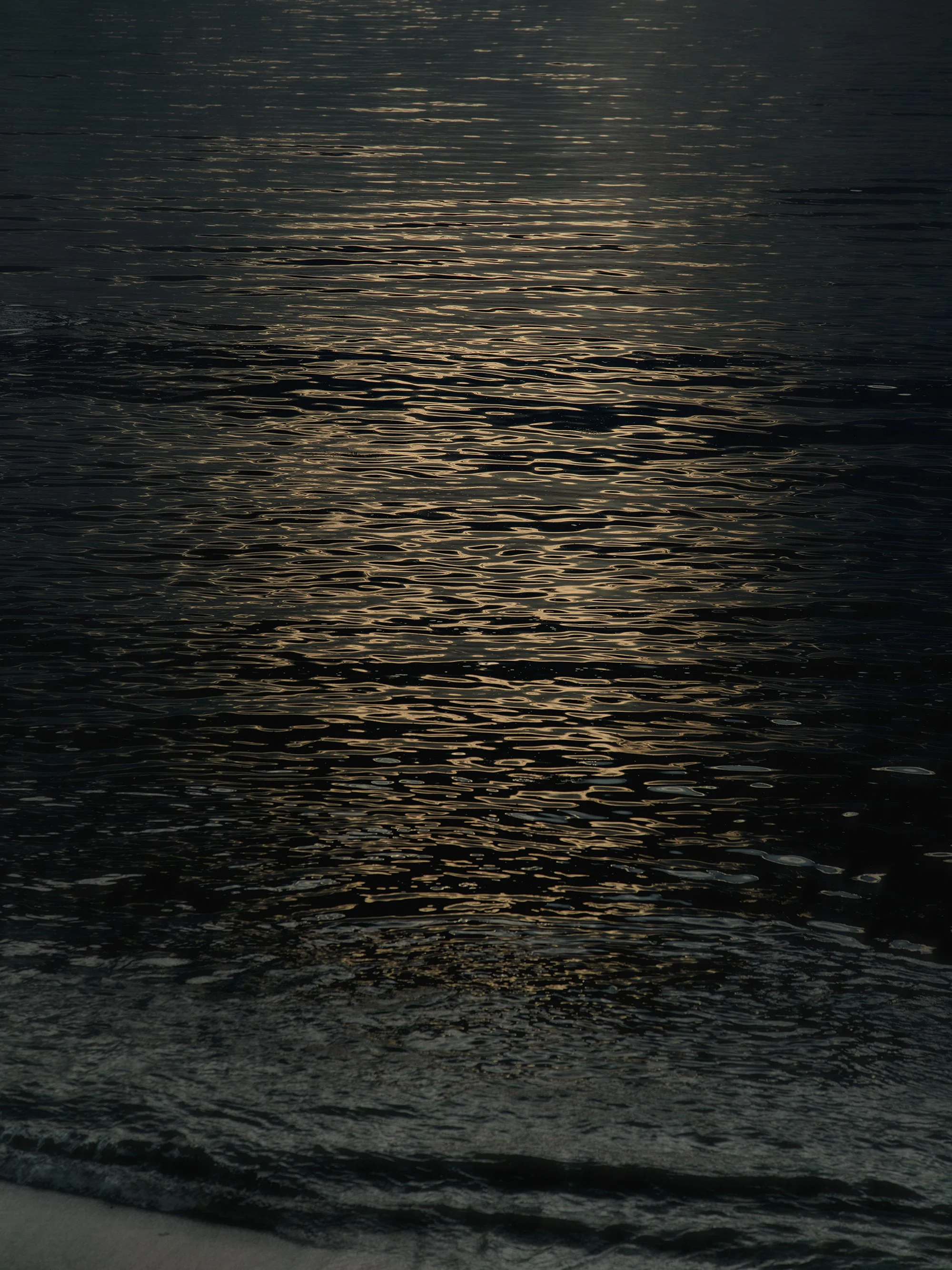 P07A7193-ForWeb-2026.jpg