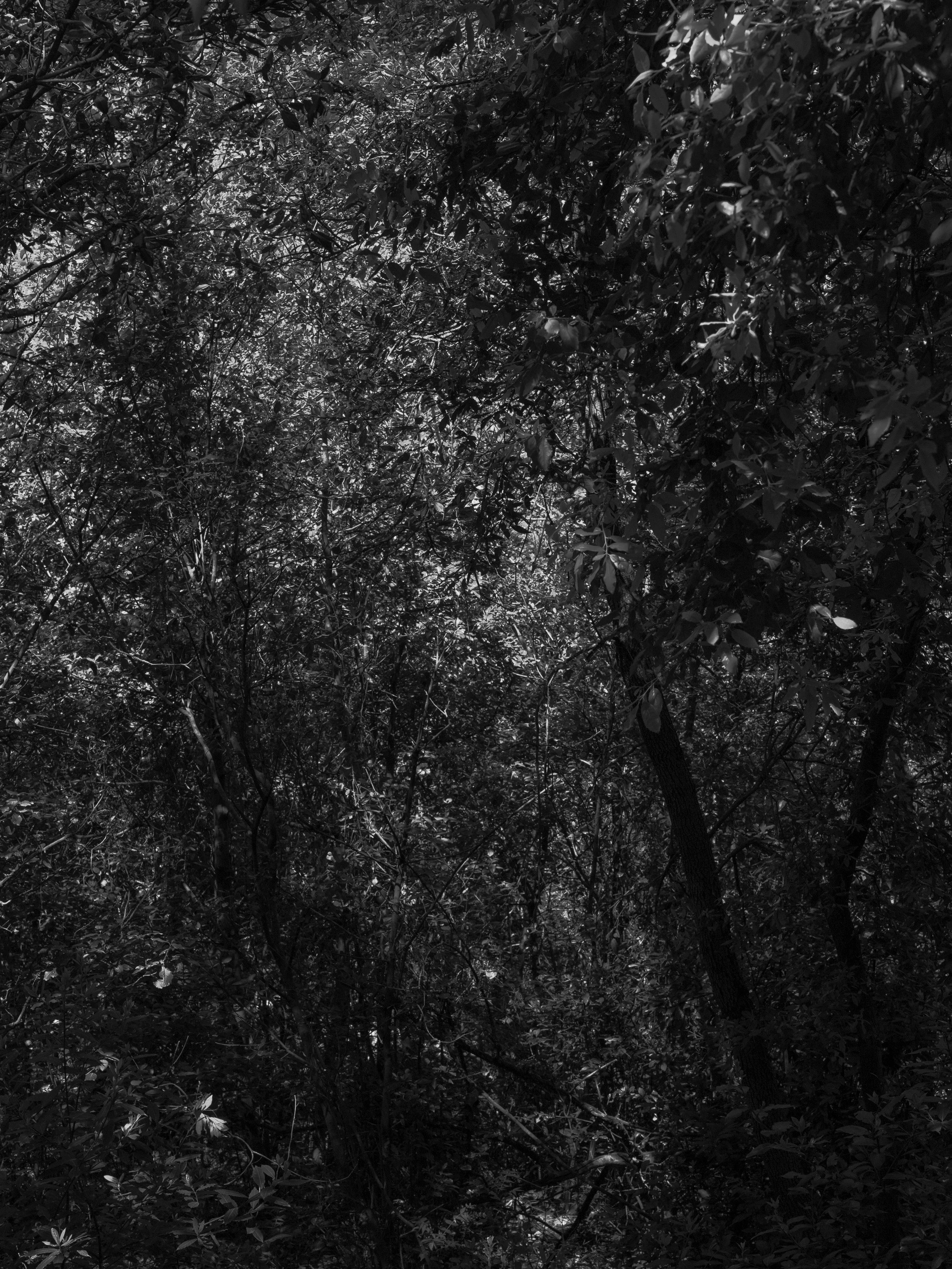 Lili_Zaneta_Visual_Artist_Fragile-3.jpg