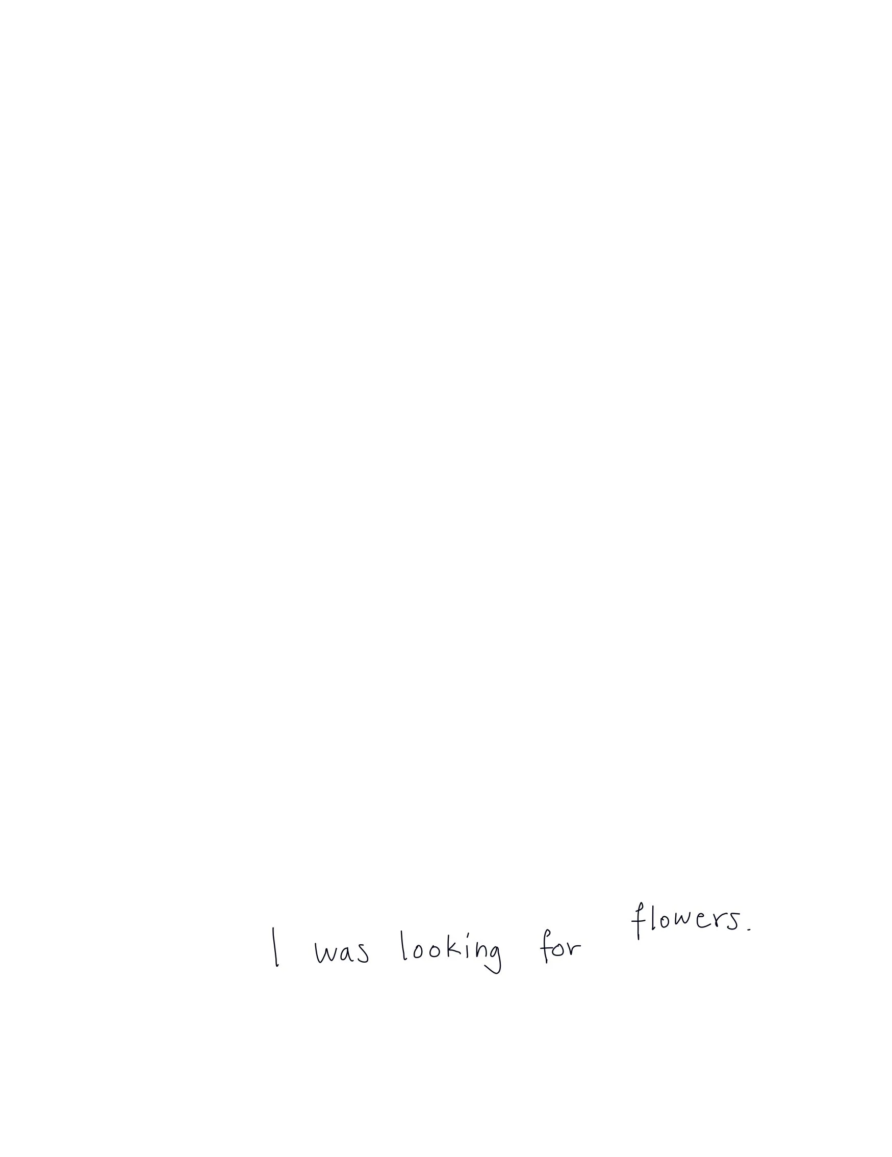 Lili_Zaneta_It's_a_small_day_artist's_book0112.jpg
