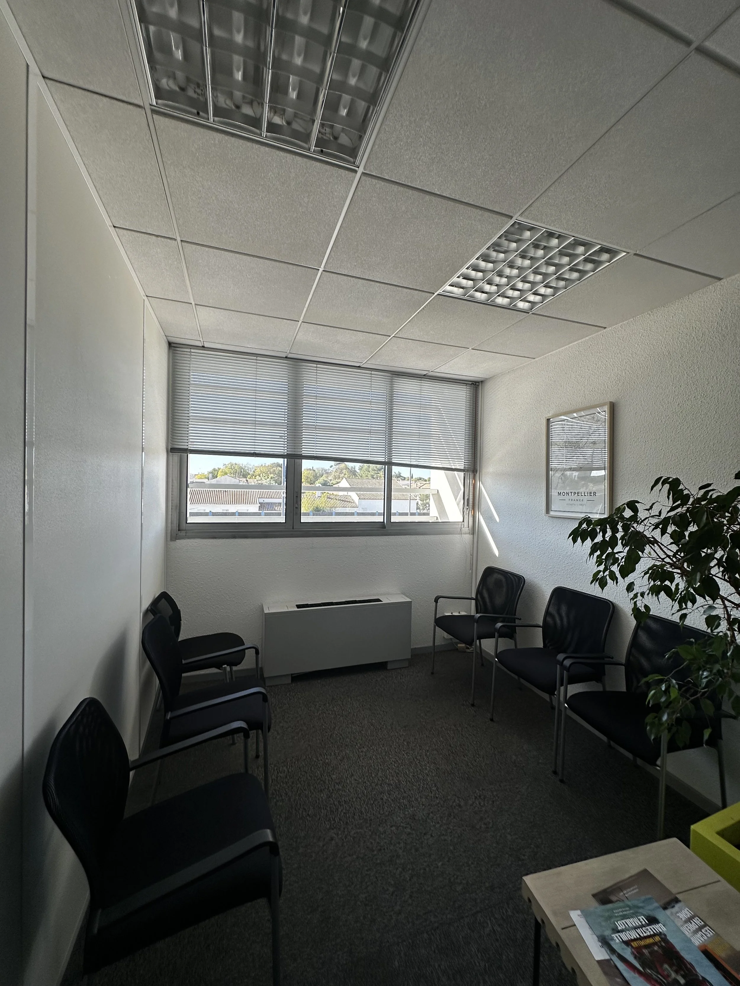 Une salle d'attente avec plusieurs chaises noires alignées contre les murs et près de la fenêtre. La pièce est éclairée par la lumière naturelle venant de la fenêtre avec des stores à lamelles. Il y a une plante verte dans un coin et un tableau accroché au mur.