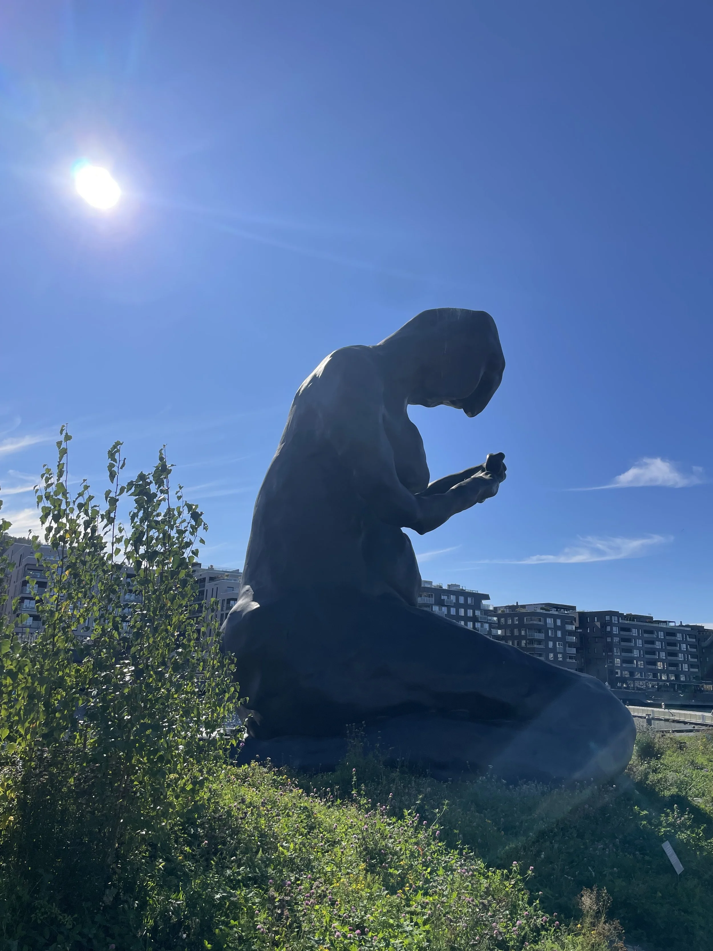 IMG_3240.jpeg