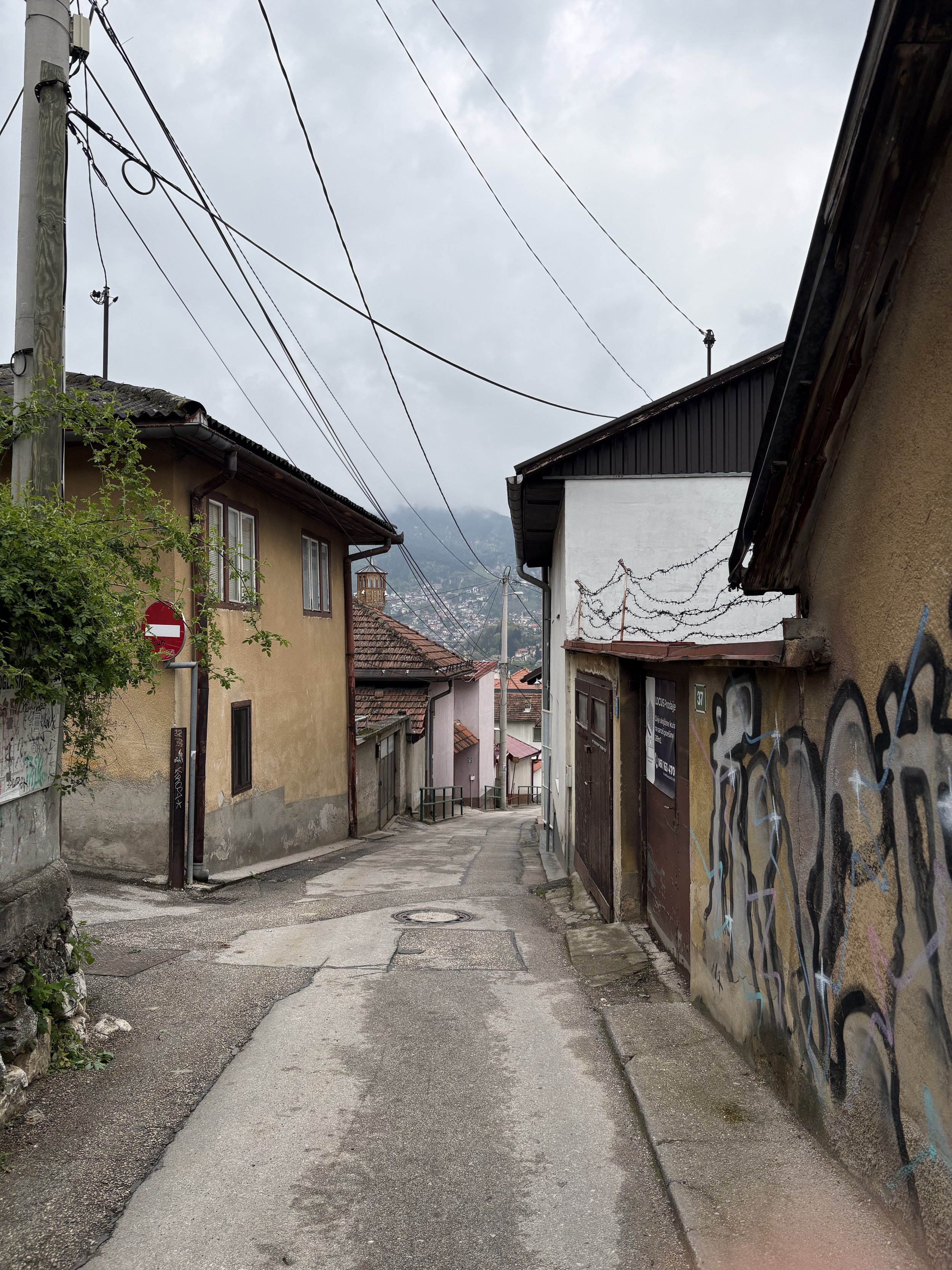IMG_1985.jpeg