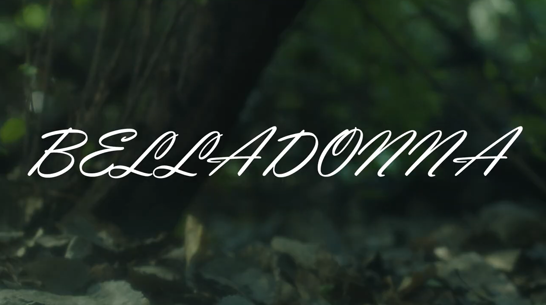 BELLADONNA