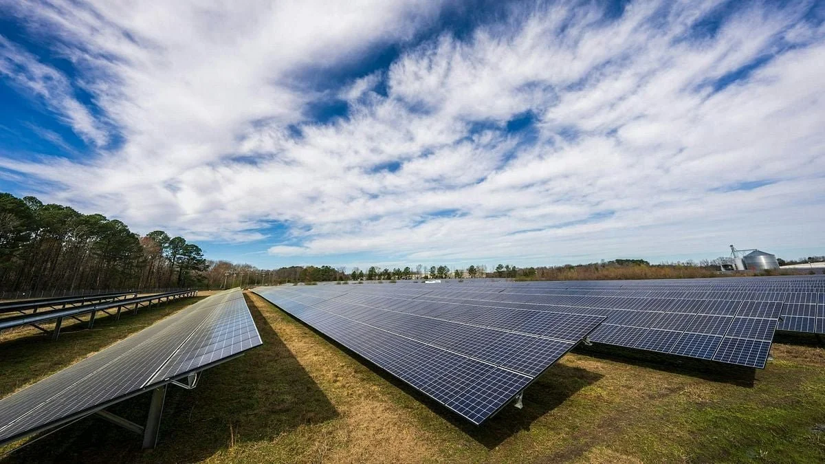 Some conservationists happy with cancellation of solar farm
