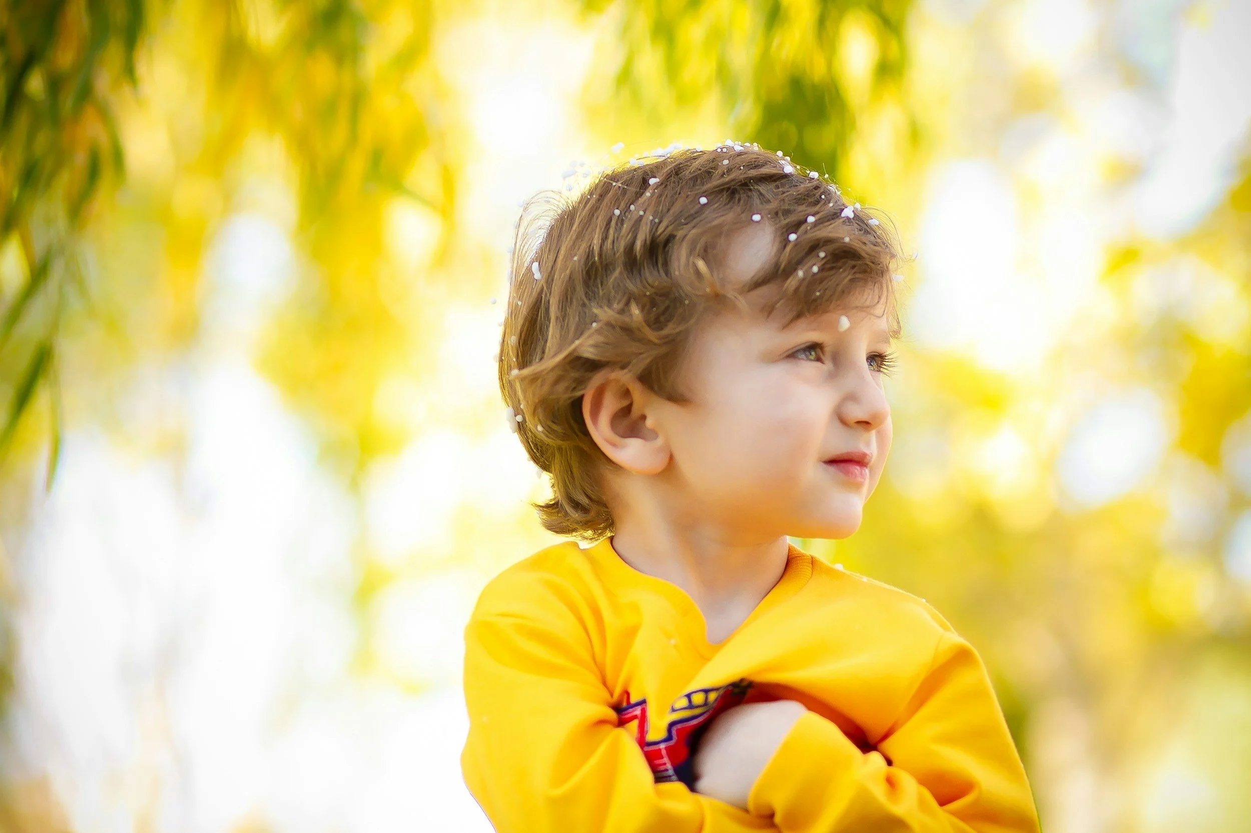 A young boy with curly brown hair and blue eyes, wearing a yellow long-sleeve shirt, looking to the side outdoors with a blurred background of green and yellow foliage, sunlight filtering through the trees.