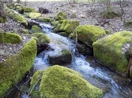 rock water.jpg