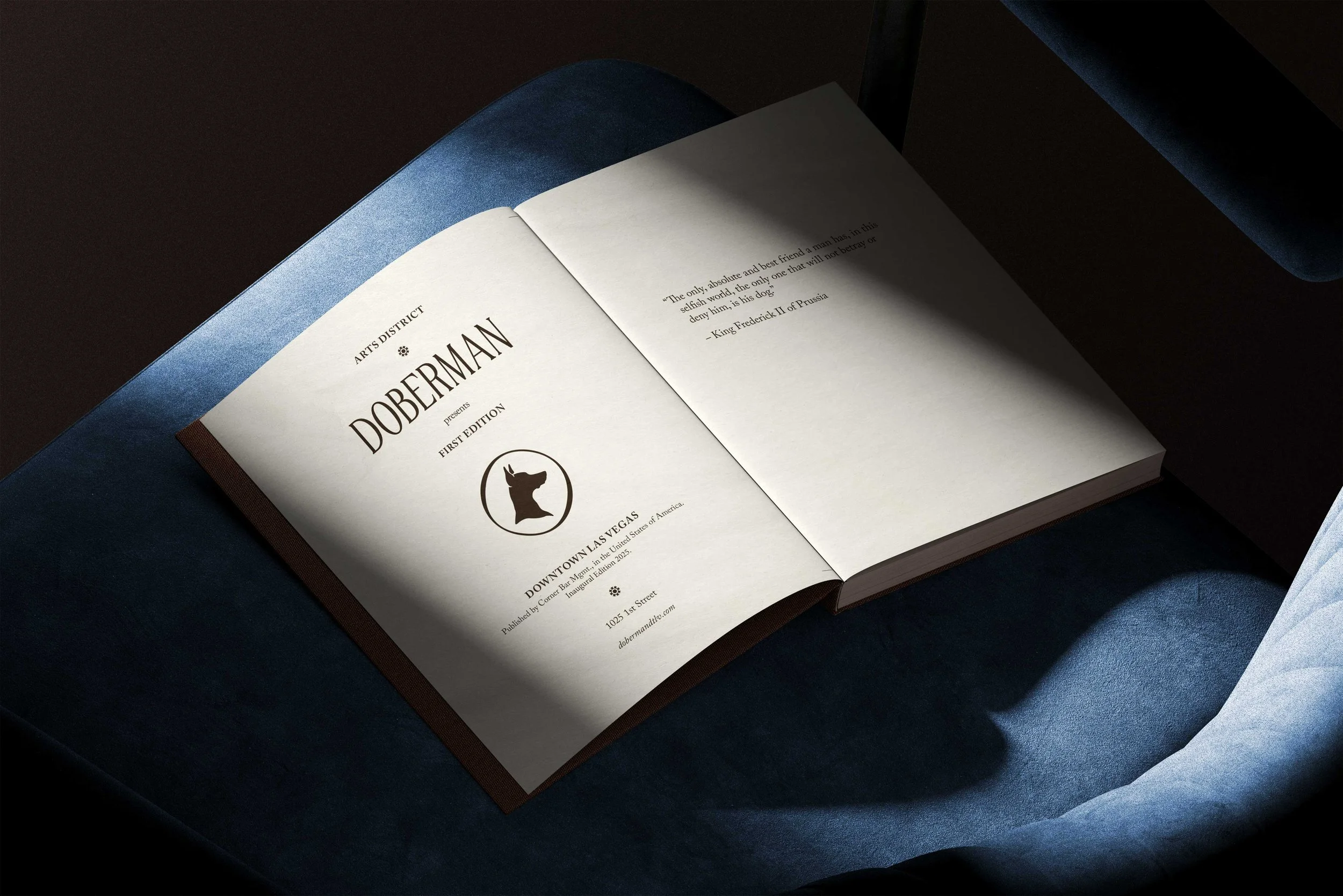 2026---DDR---open-book-mockup-on-velvet-chair-v4-isometric.jpg