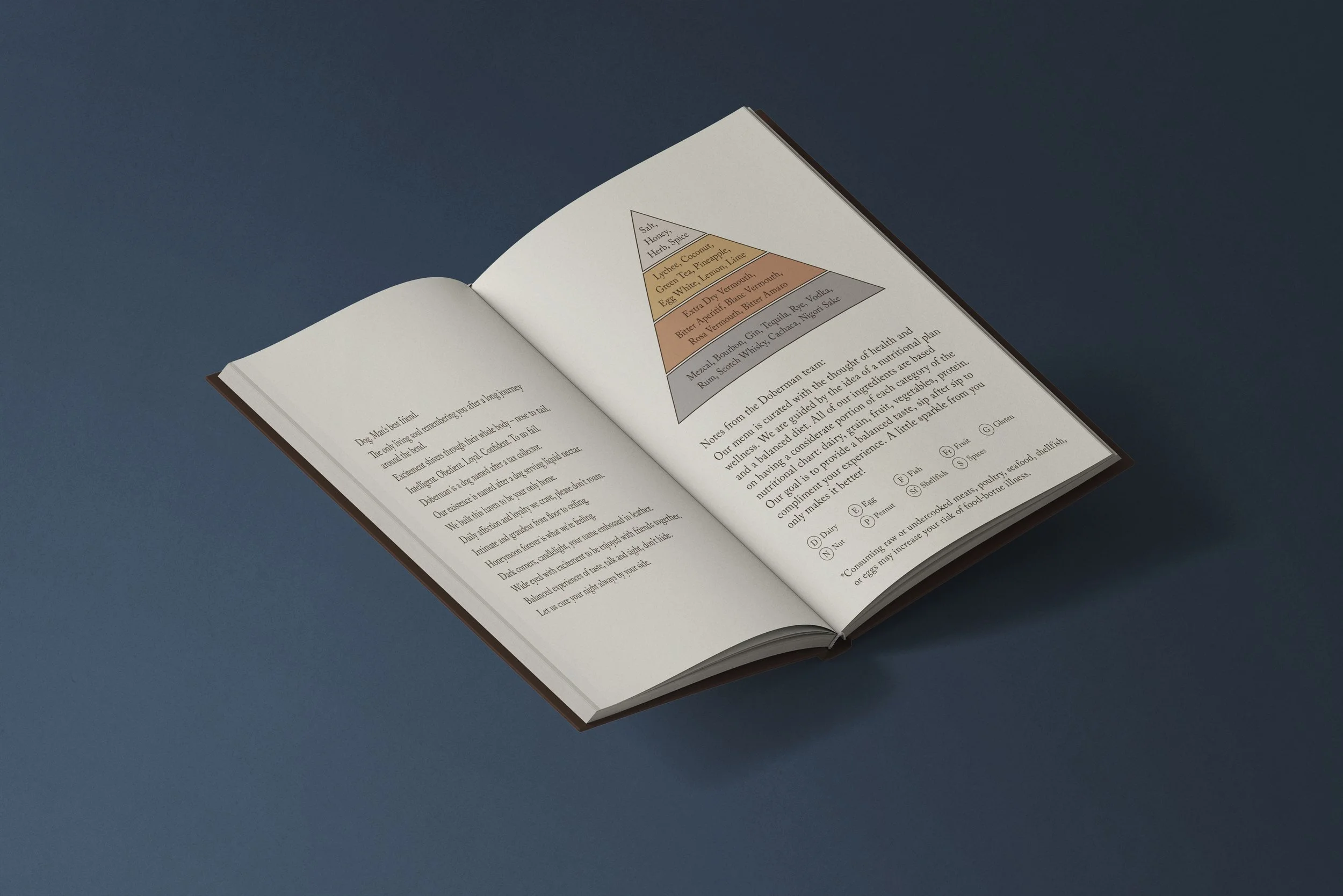 2026---DDR---open-hard-cover-book-mockup-isometric.jpg