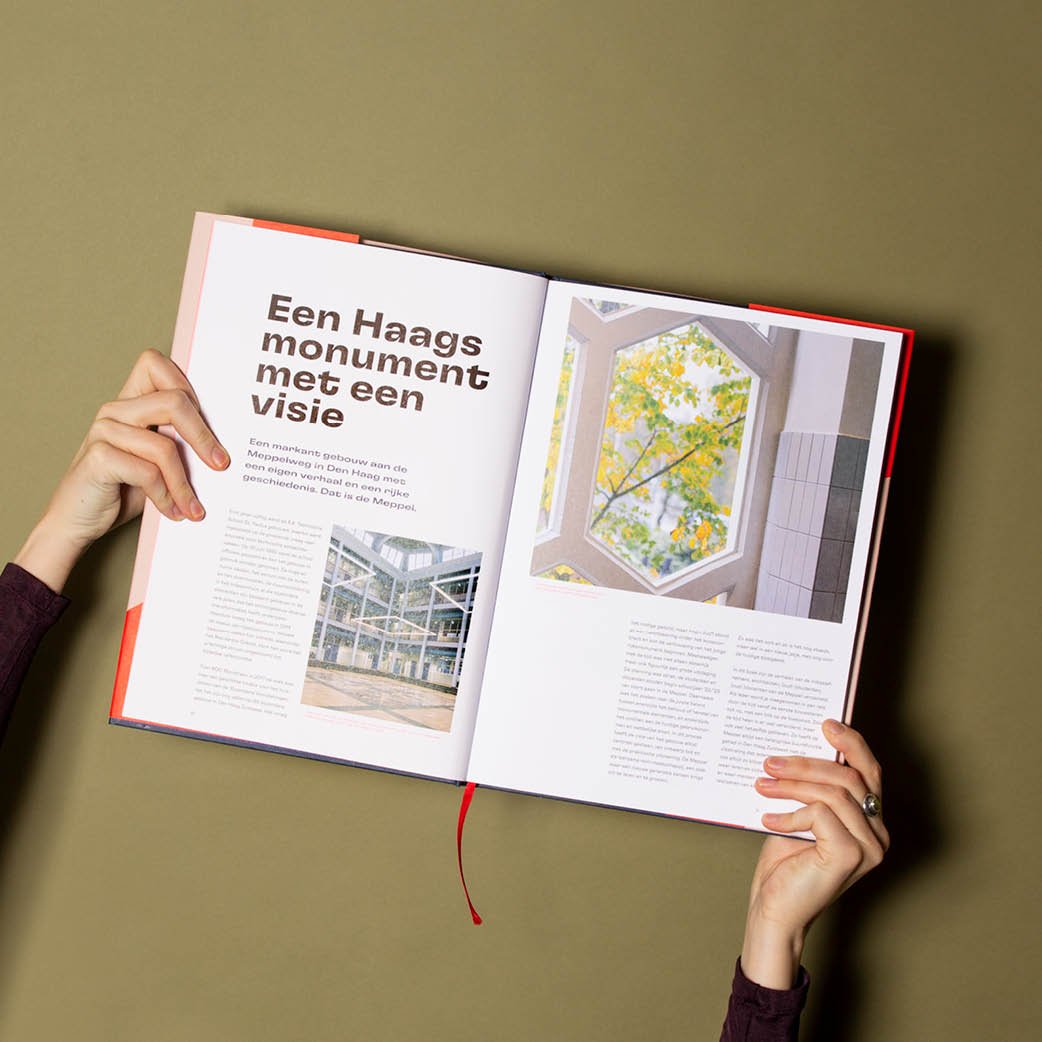 meppelboek3.jpg