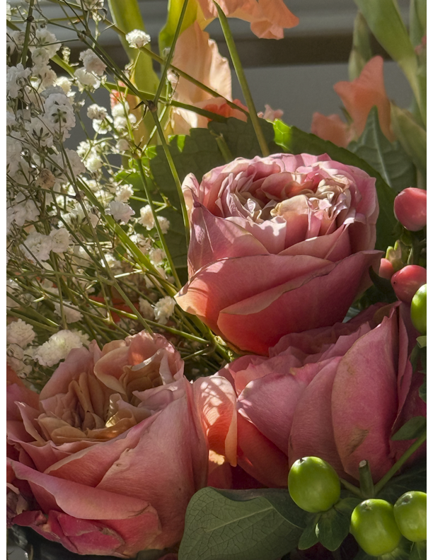 Close-up of a bouquet of pink roses, white baby's breath flowers, and green berries with sunlight illuminating the scene.