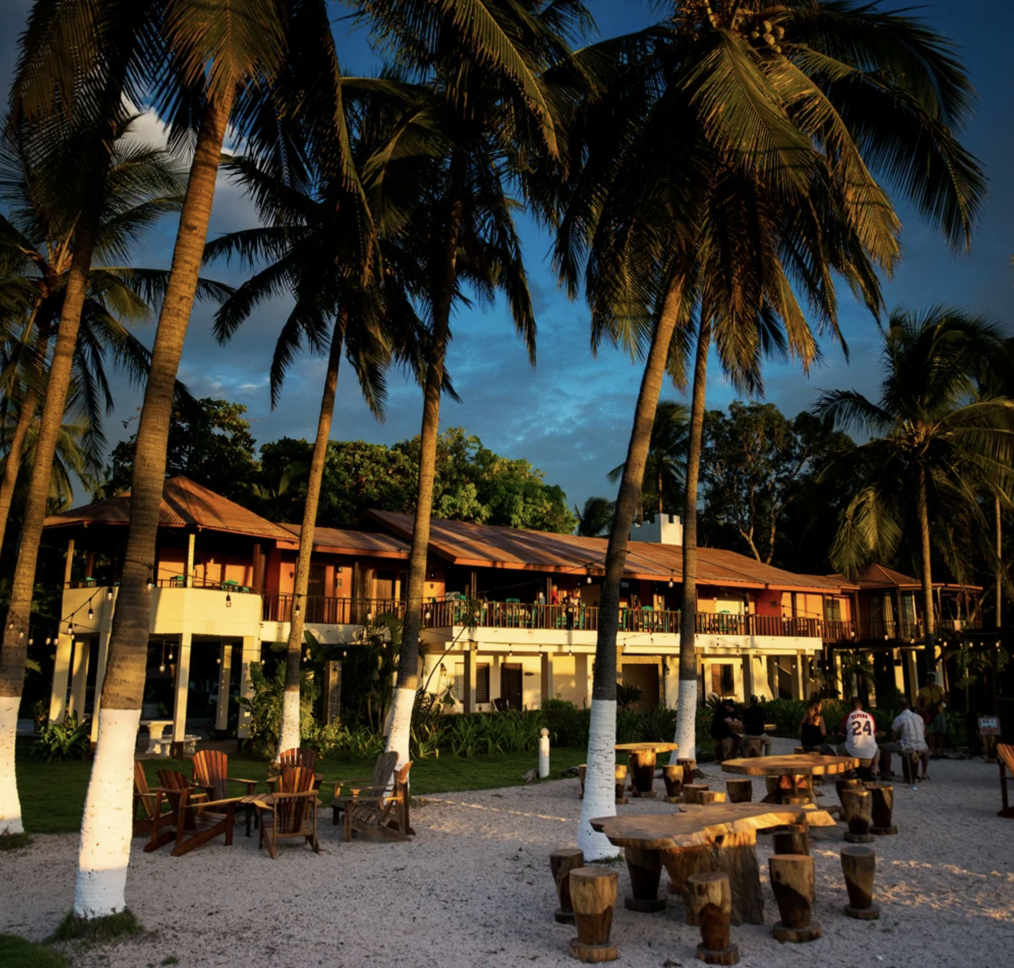 Tree-covered outdoor seating area with wooden tables and chairs under palm trees, with a building featuring balconies in the background, during late afternoon or early evening.