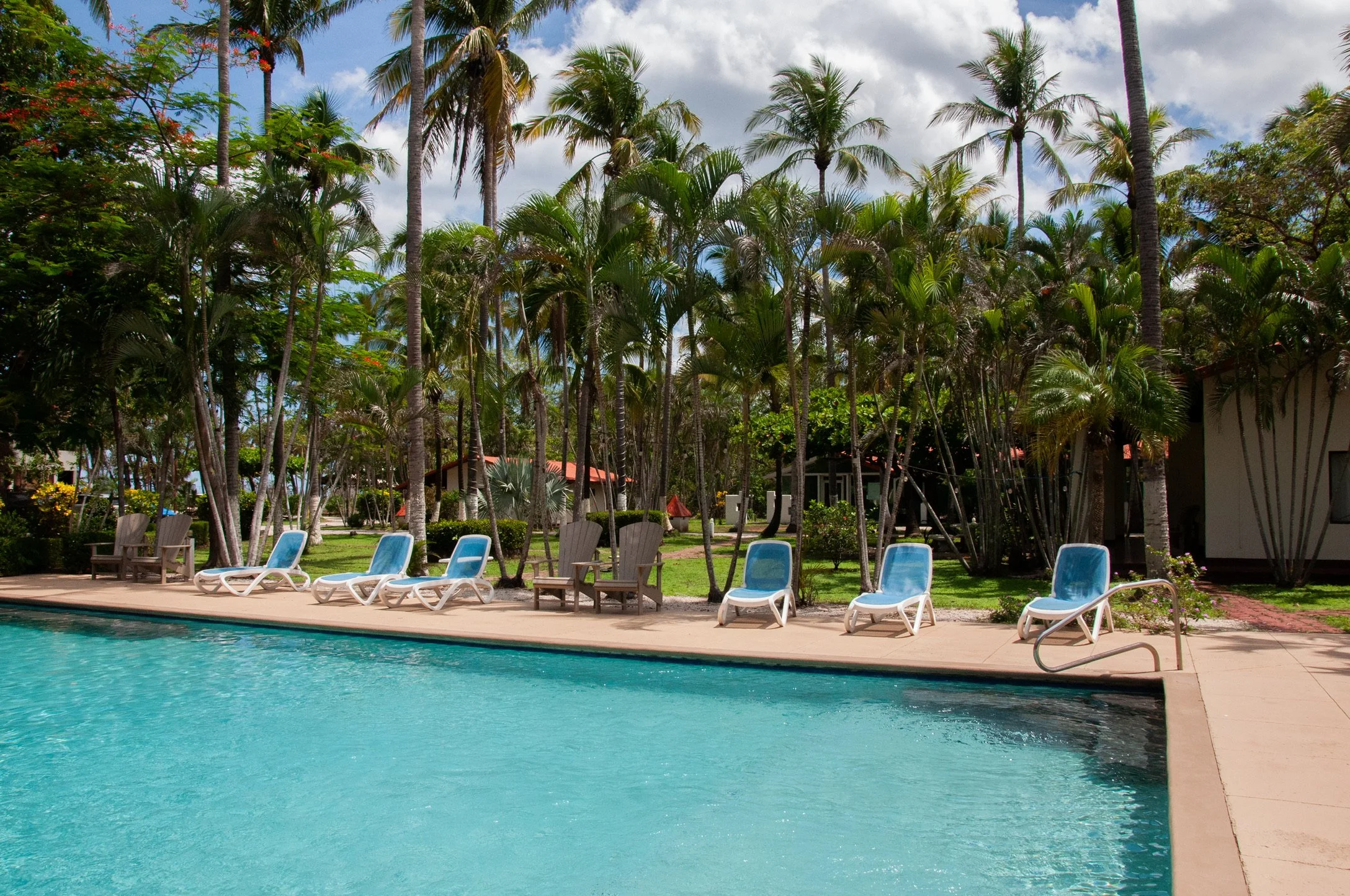 View of a swimming pool with lounge chairs along the poolside, tall palm trees in the background, and a clear blue sky.