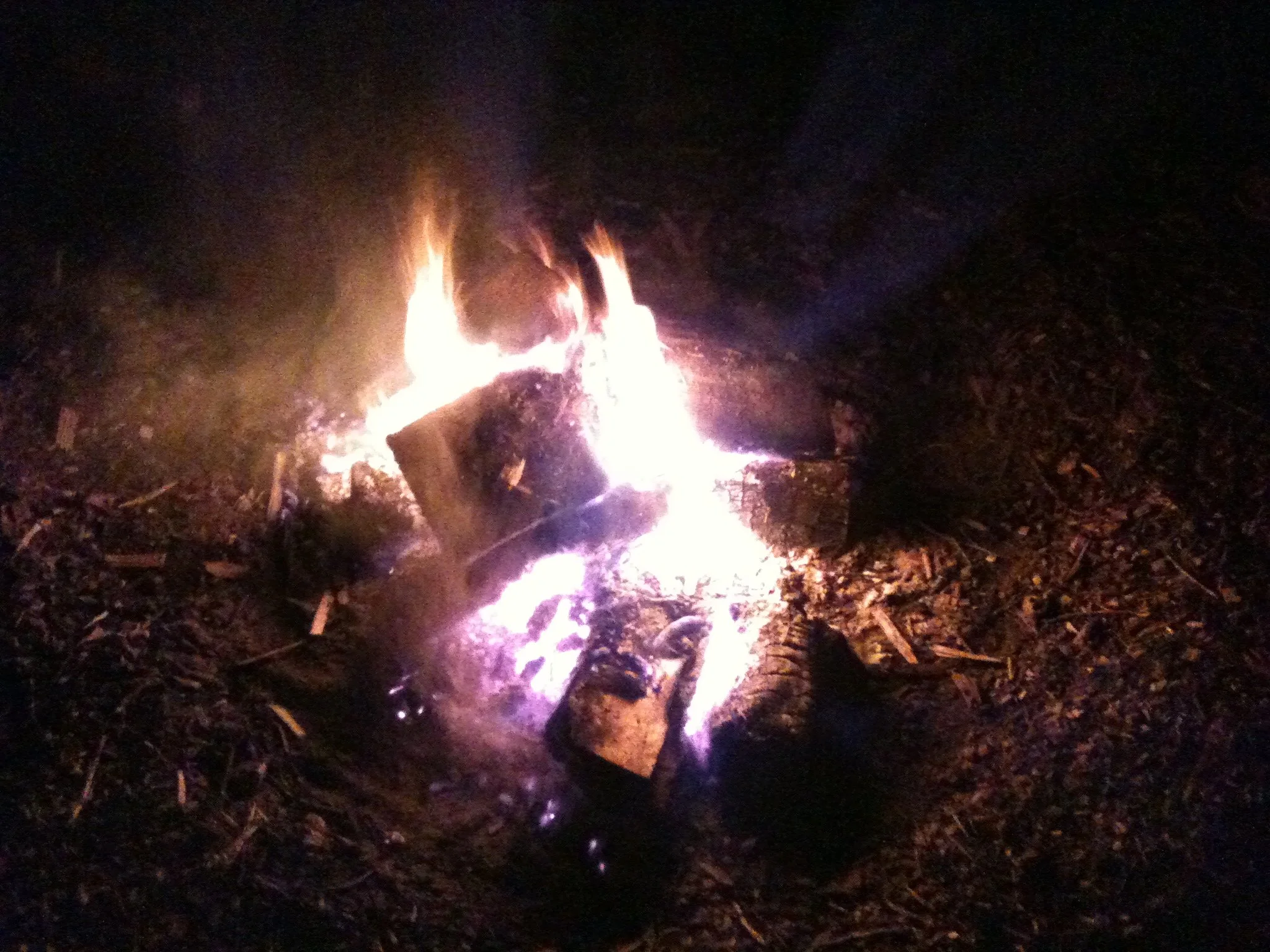 Campfire burning in the dark with visible flames and glowing embers surrounded by ash and wood debris.
