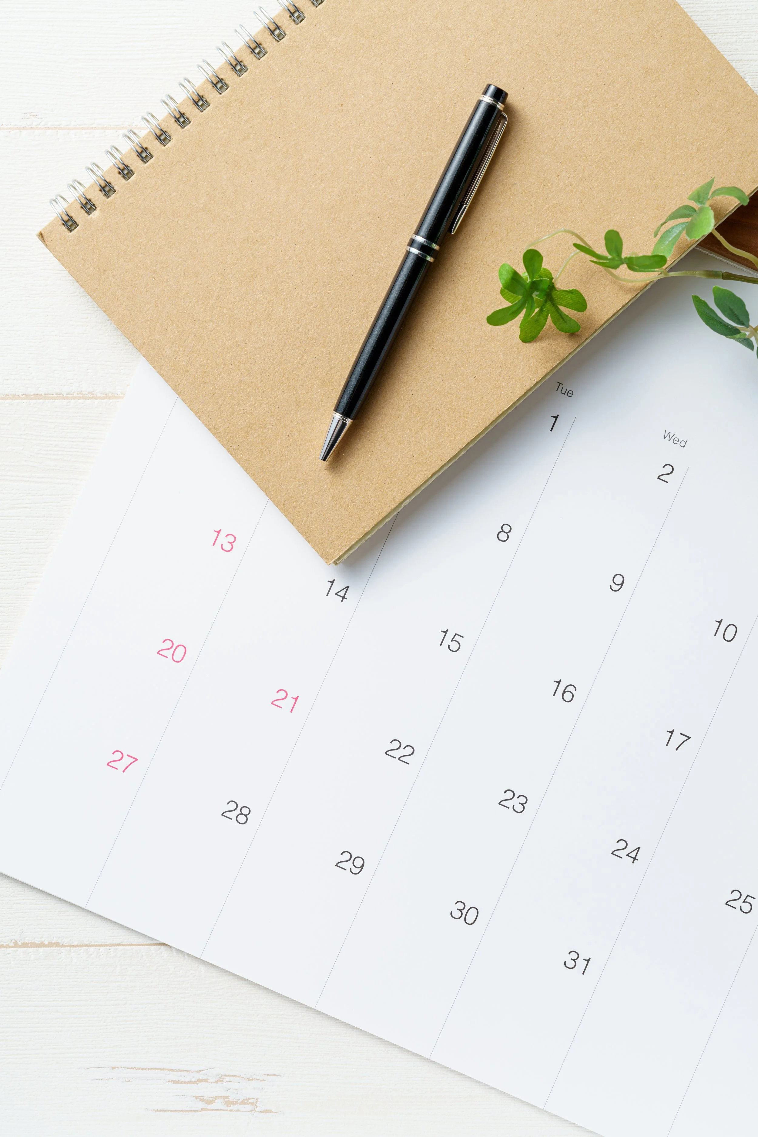Get NorthStar Virtual Solutions calendar and pen planning content