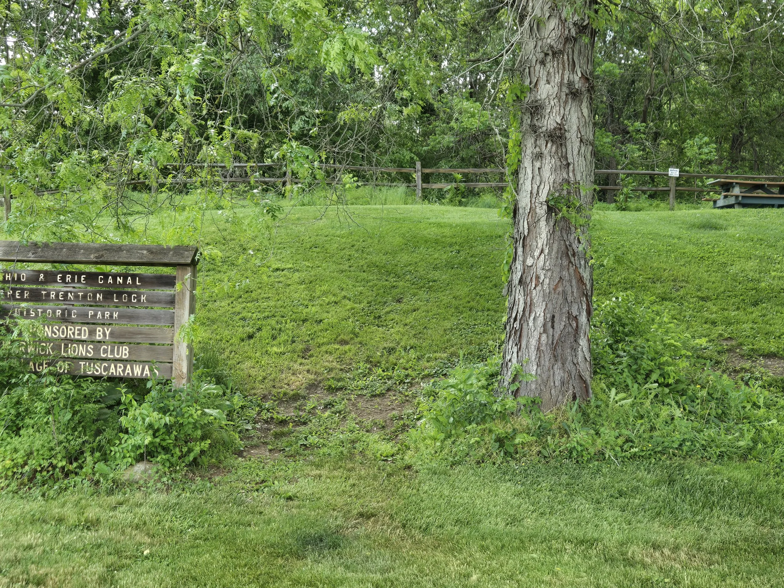 A green park with tall trees, a wooden fence, and a picnic table in the background. There is a sign partially visible on the left side of the image.