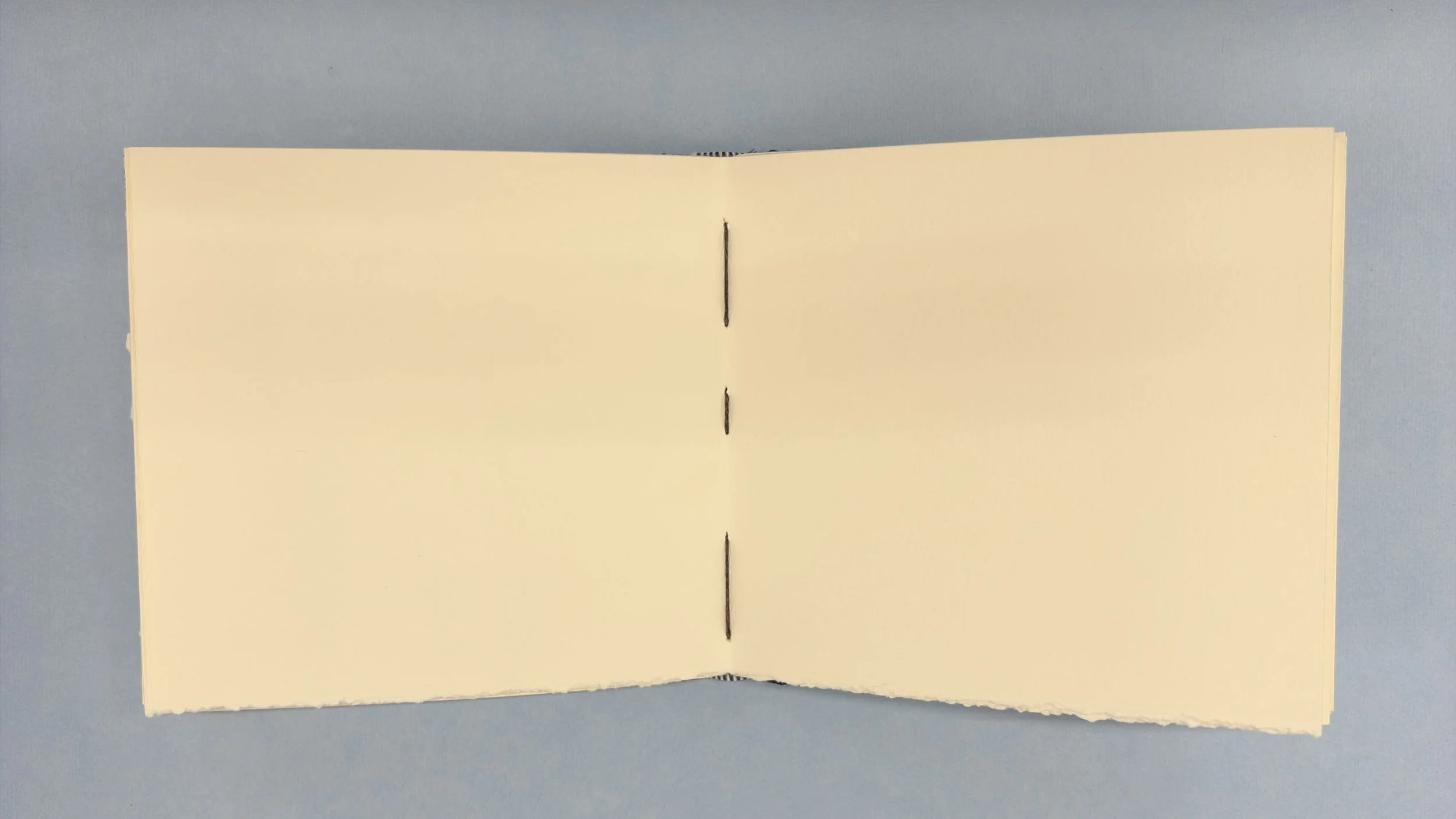 Page Spread.jpg