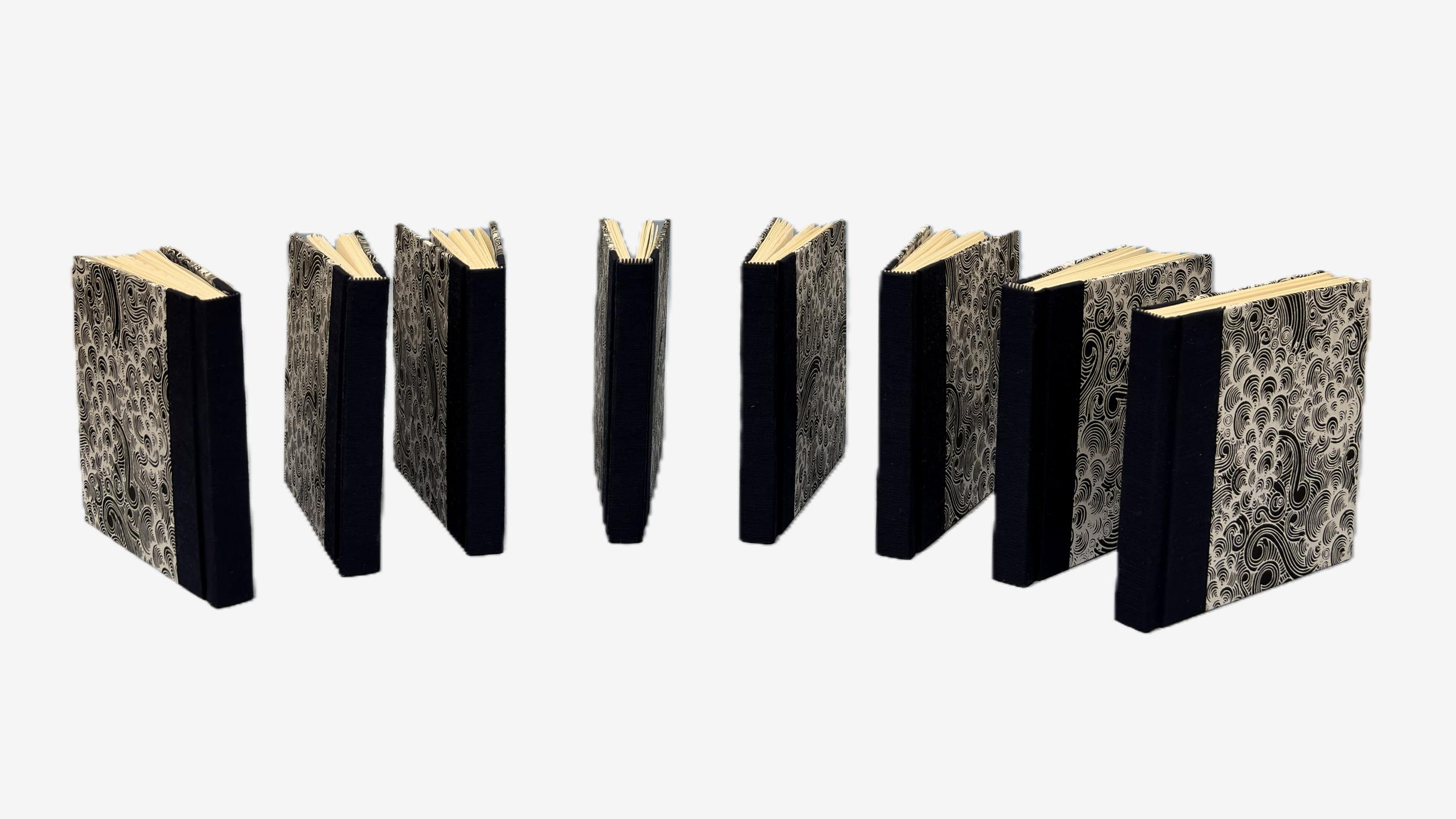 Spine 8 .PNG