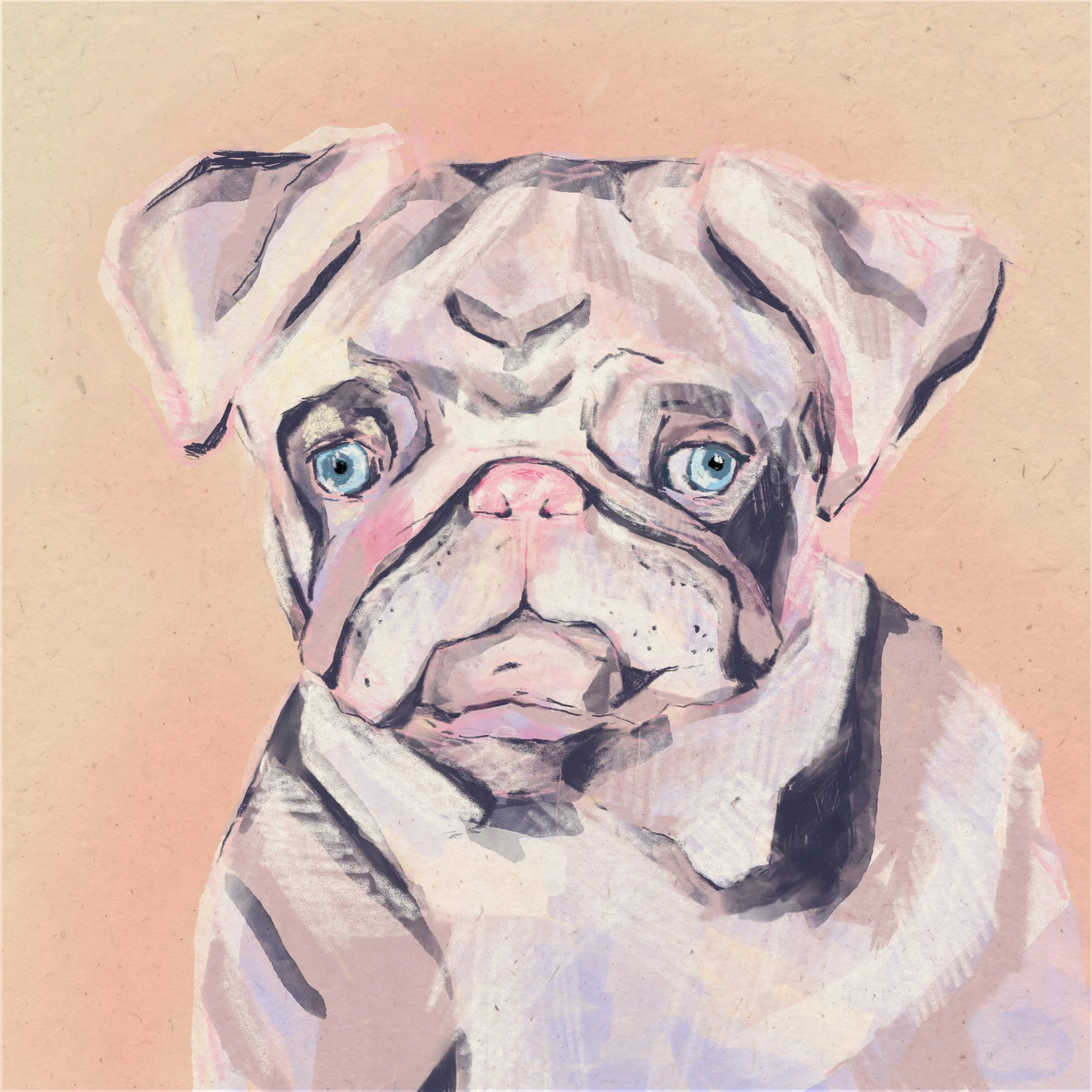 Custom Hand Painted Pet Portrait