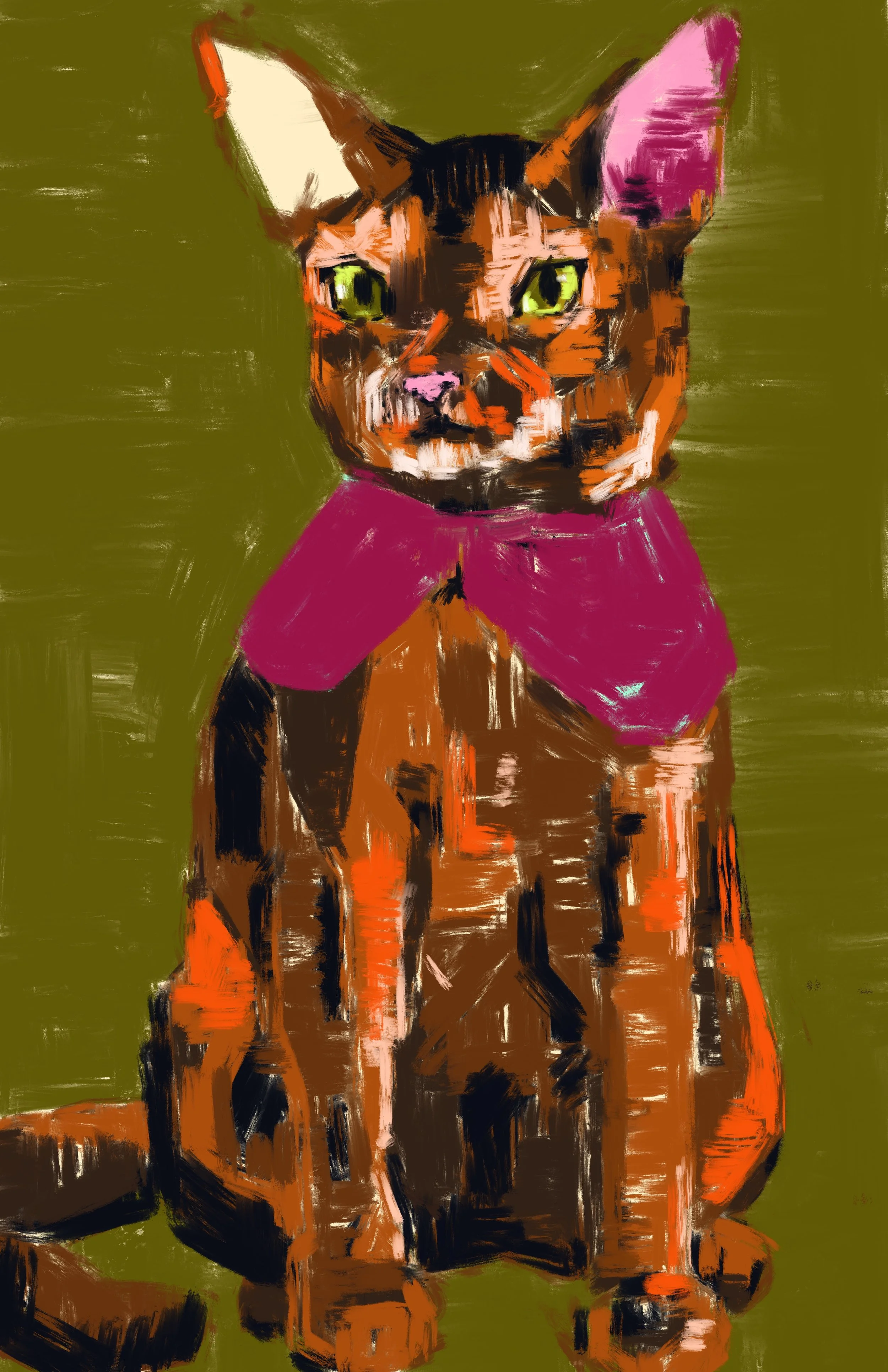 cape_cat.jpg