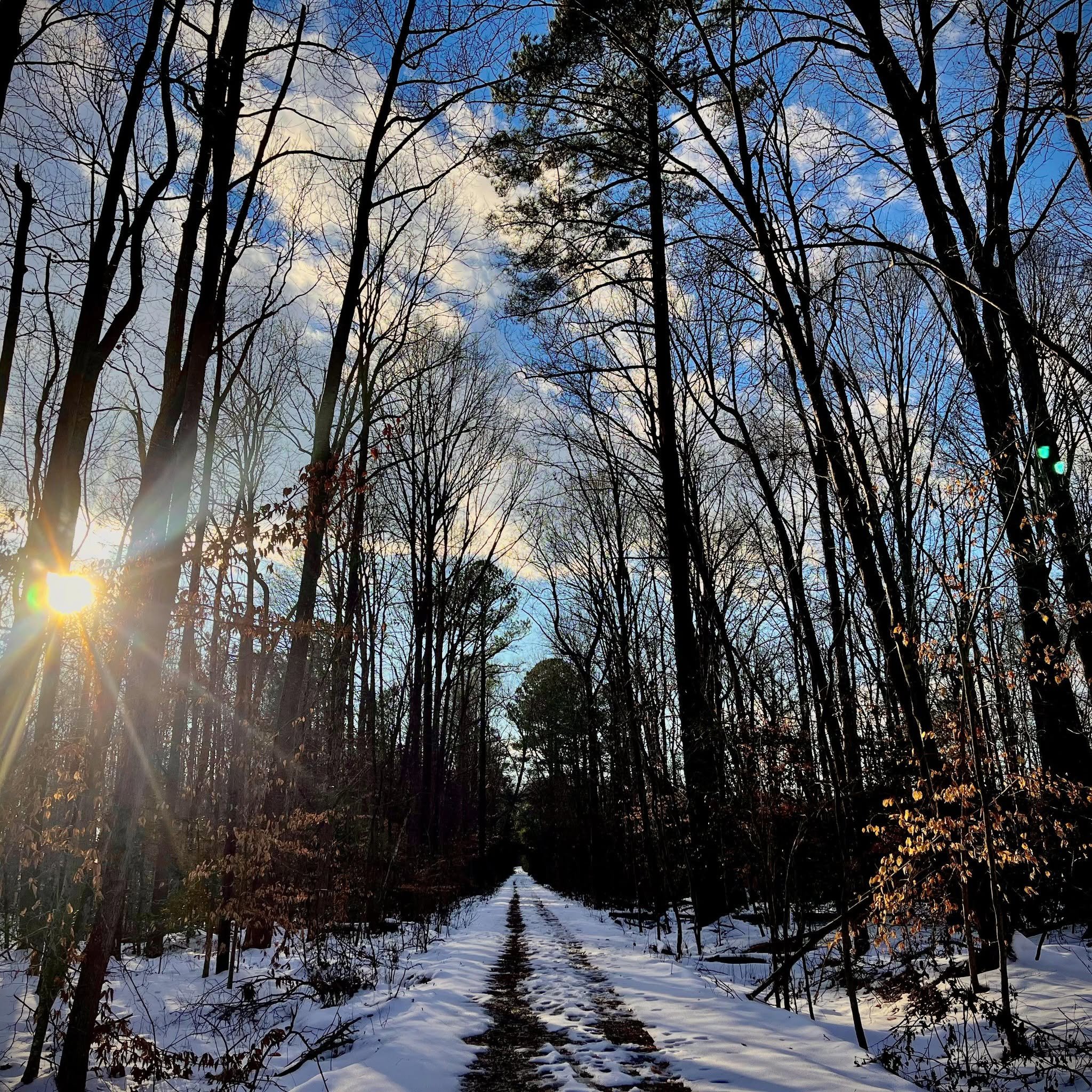 A winter scene with snow-covered ground and footprints, leafless trees silhouetted against a partly cloudy sky, with the sun low on the horizon casting a warm glow.