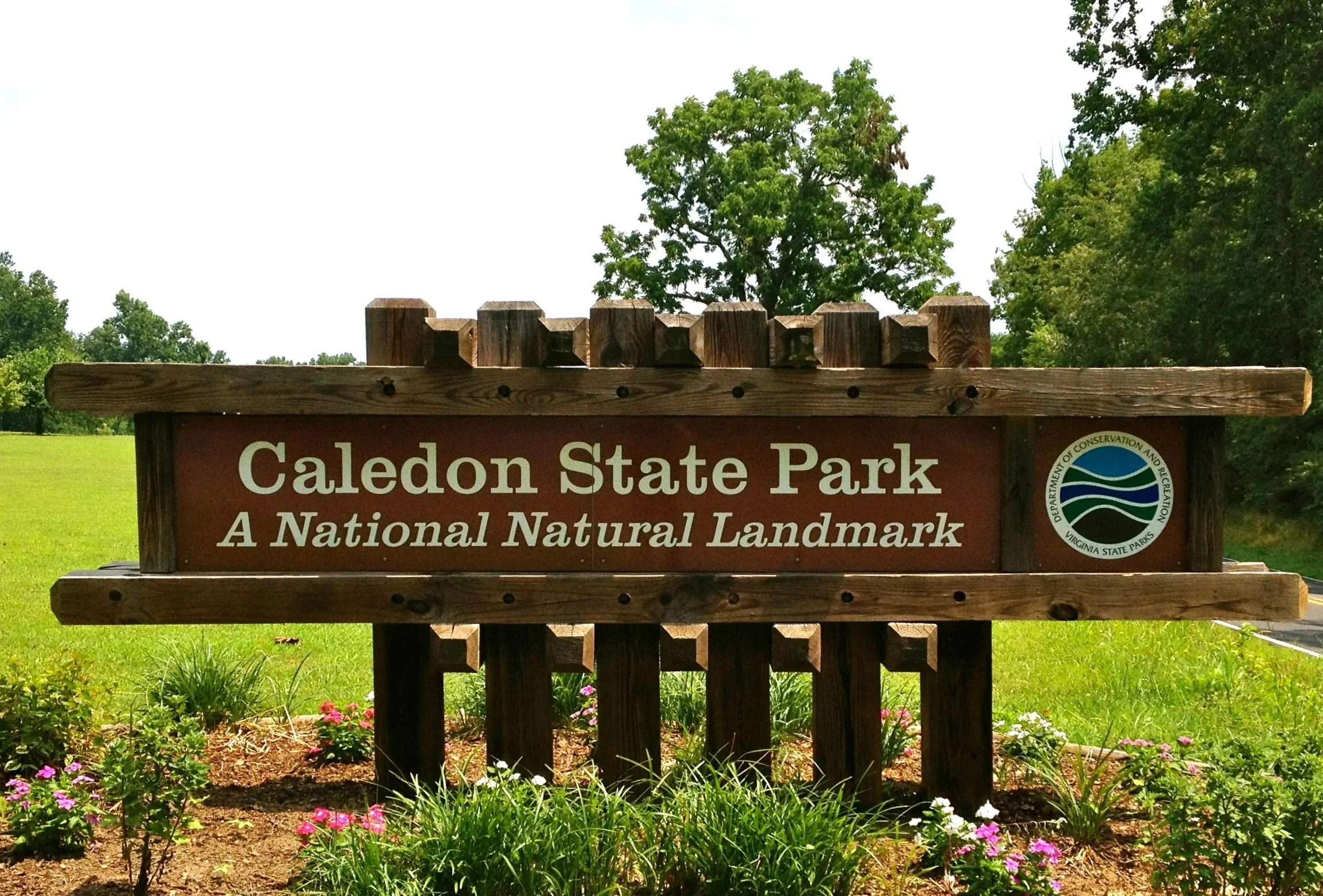 Sign at Caledon State Park surrounded by green trees and pink flowers at the base.