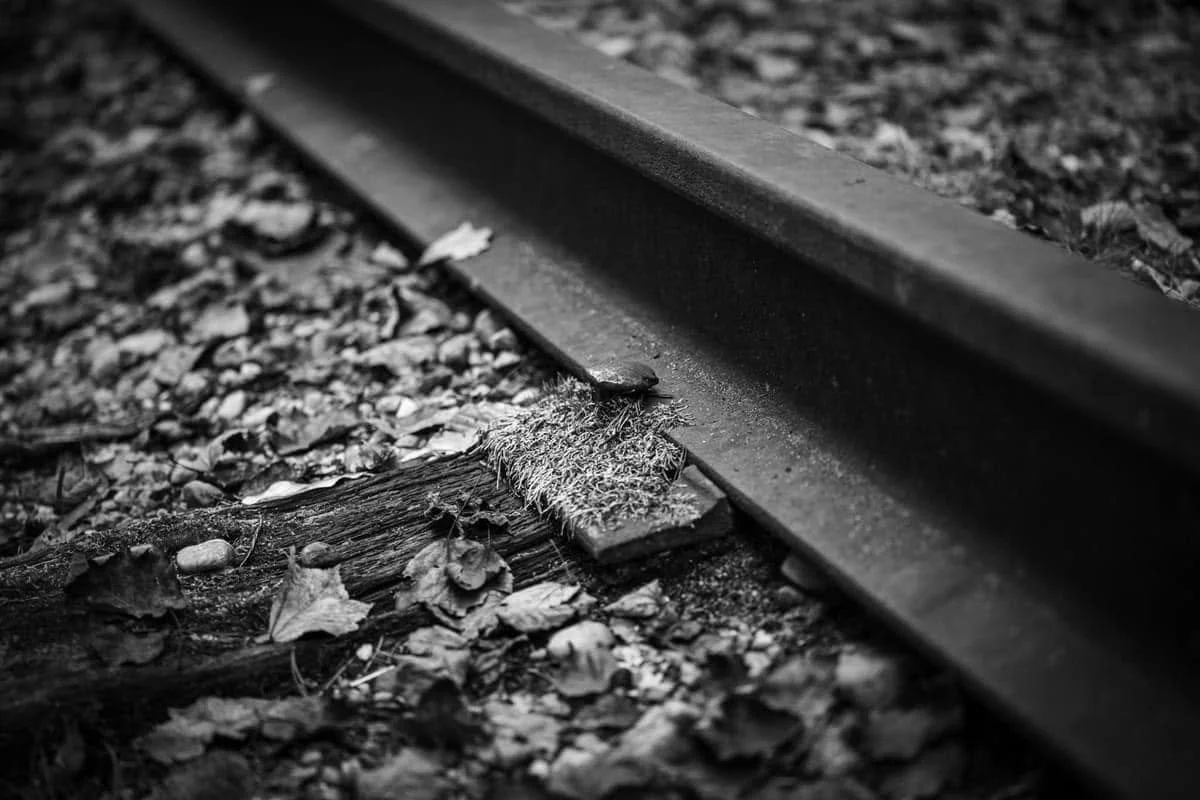 Close-up black and white photo of a railway track with gravel and leaves on the ground.