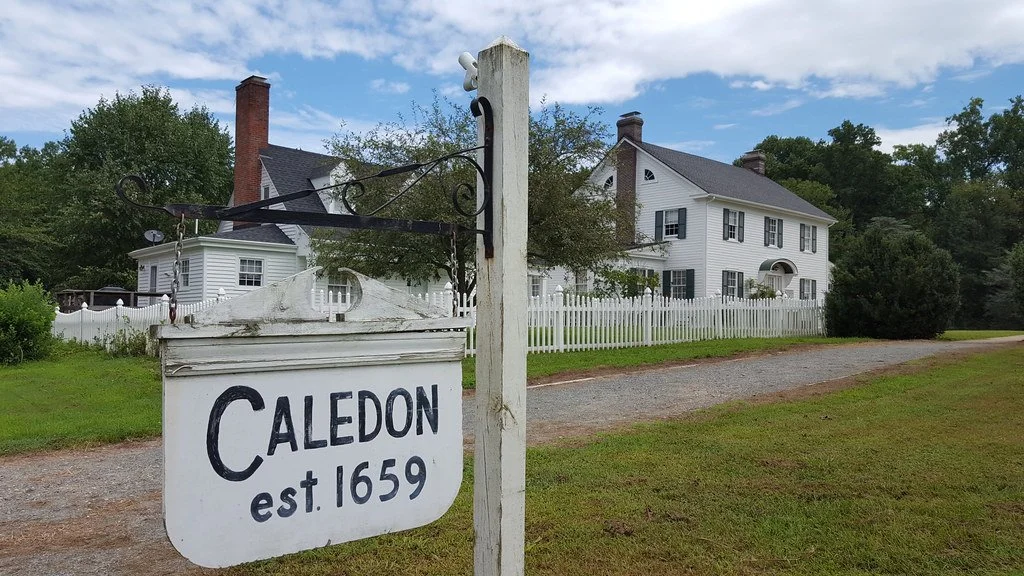 A white wooden sign hanging from a black metal bracket displaying the word "Caledon" and the establishment year "1659". In the background, there is a large white colonial-style house with black shutters, surrounded by a white picket fence, green grass, trees, and a gravel driveway under a partly cloudy sky.