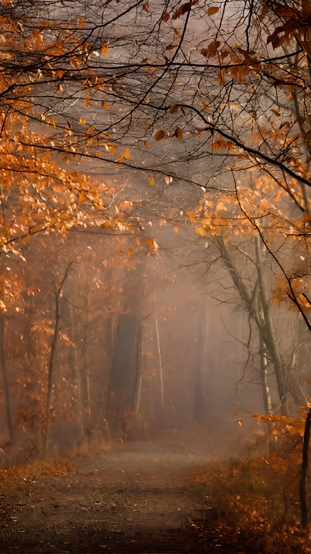A foggy forest path during autumn with trees and fallen leaves, some orange and yellow, covering the ground.