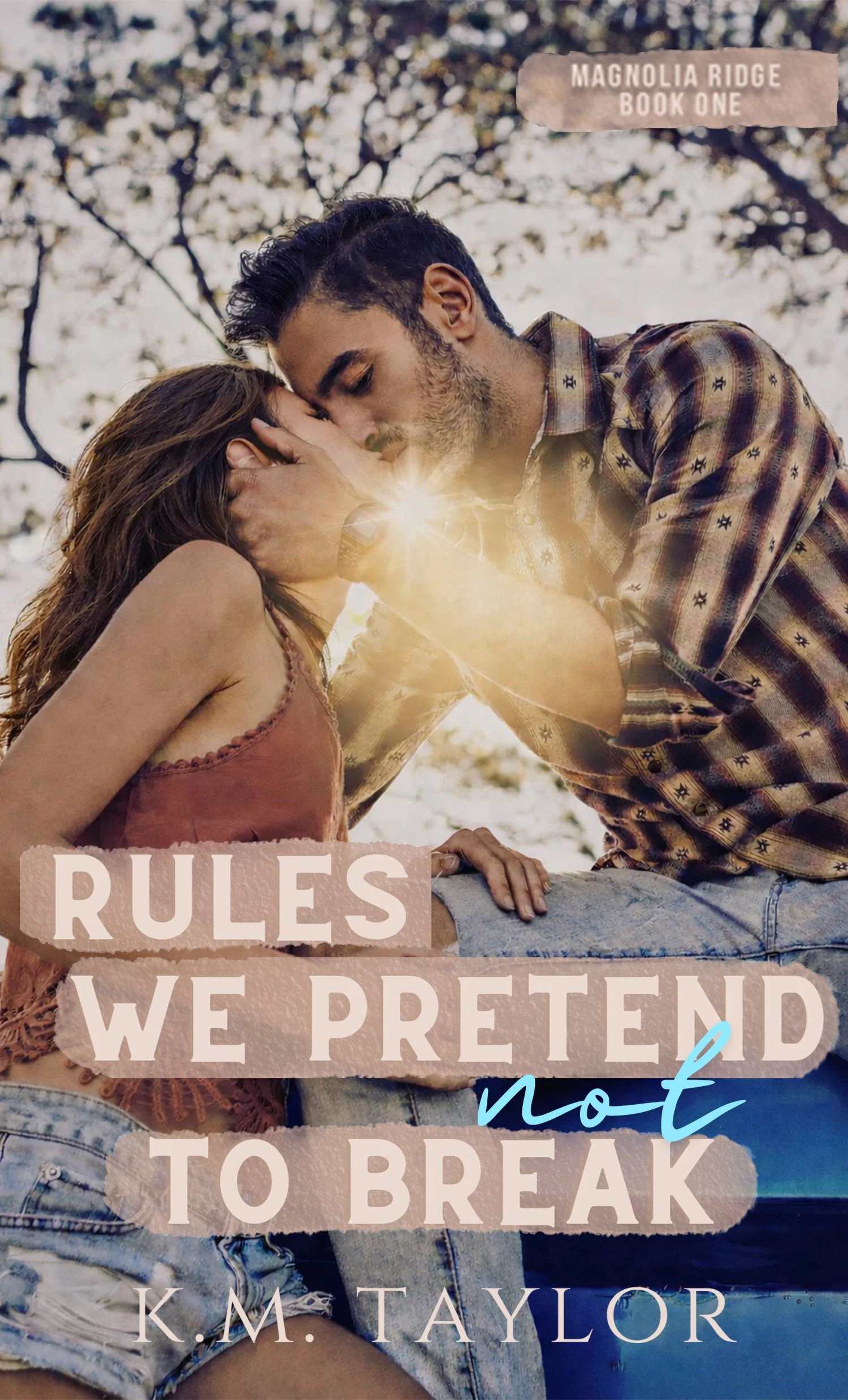 "Rules We Pretend Not to Break" by K.M. Taylor, a single dad x teacher romance.