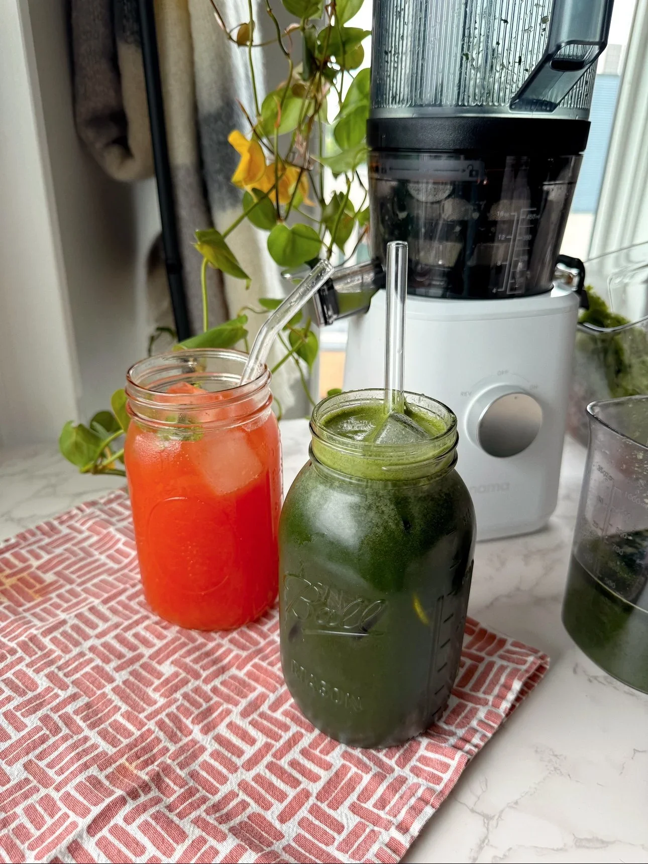 Watermelon Hydration Juice