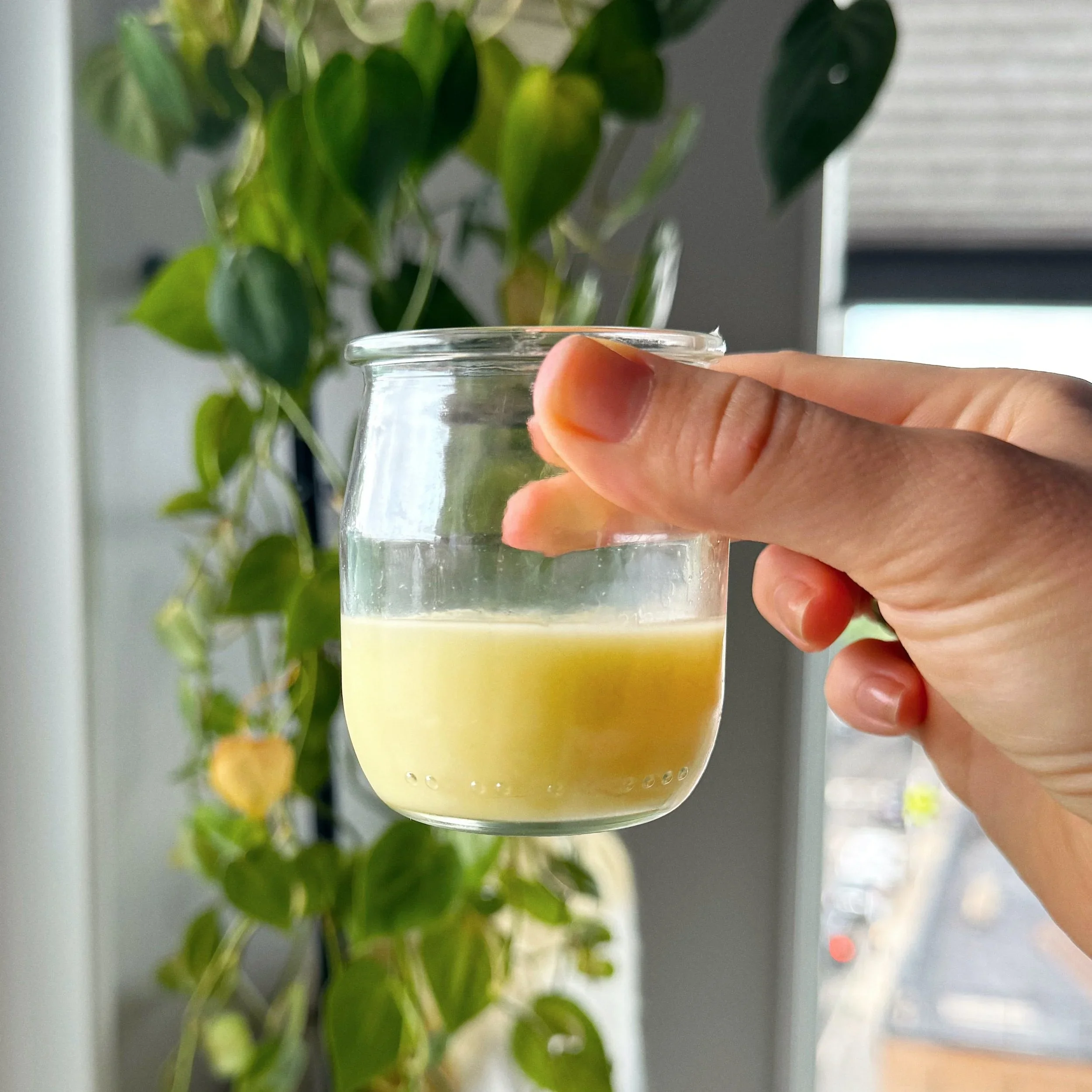 Ginger Lemon Honey Shots