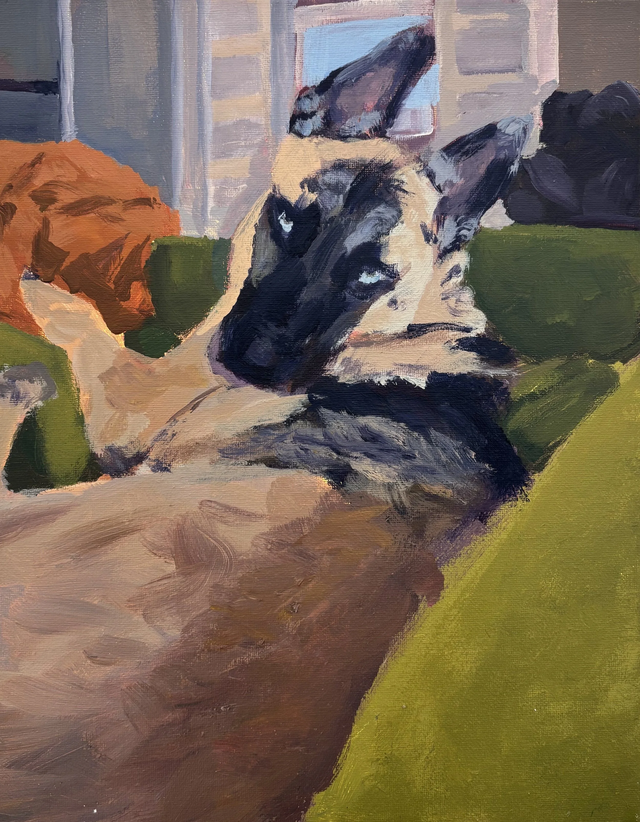 'Hachi Staring Contest', 2025. Acrylic on canvas, 11 x 14 in.