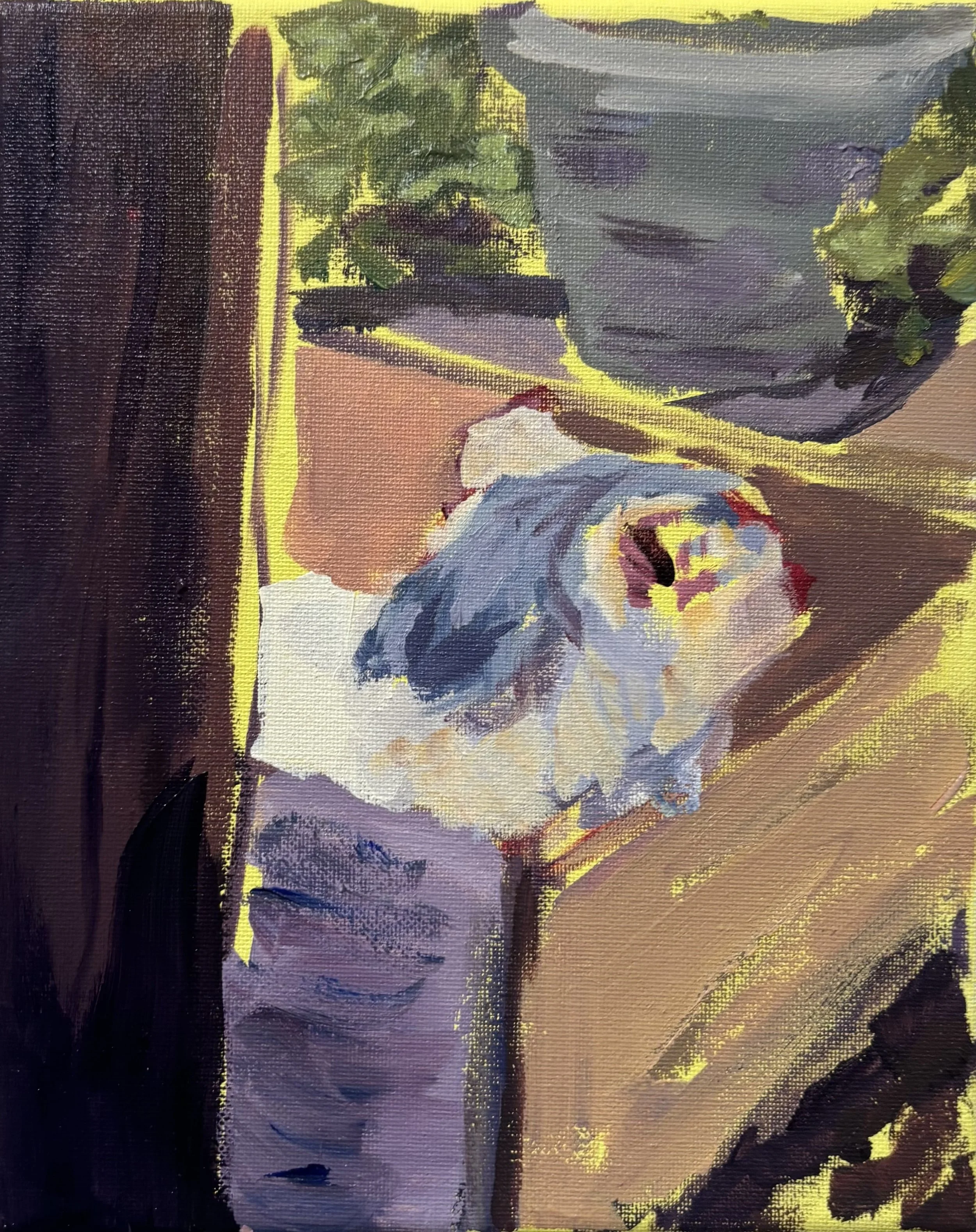 '83 Handsome in a Box on the Front Porch Version 2', 2025. Acrylic on canvas, 8 x 10 in. 