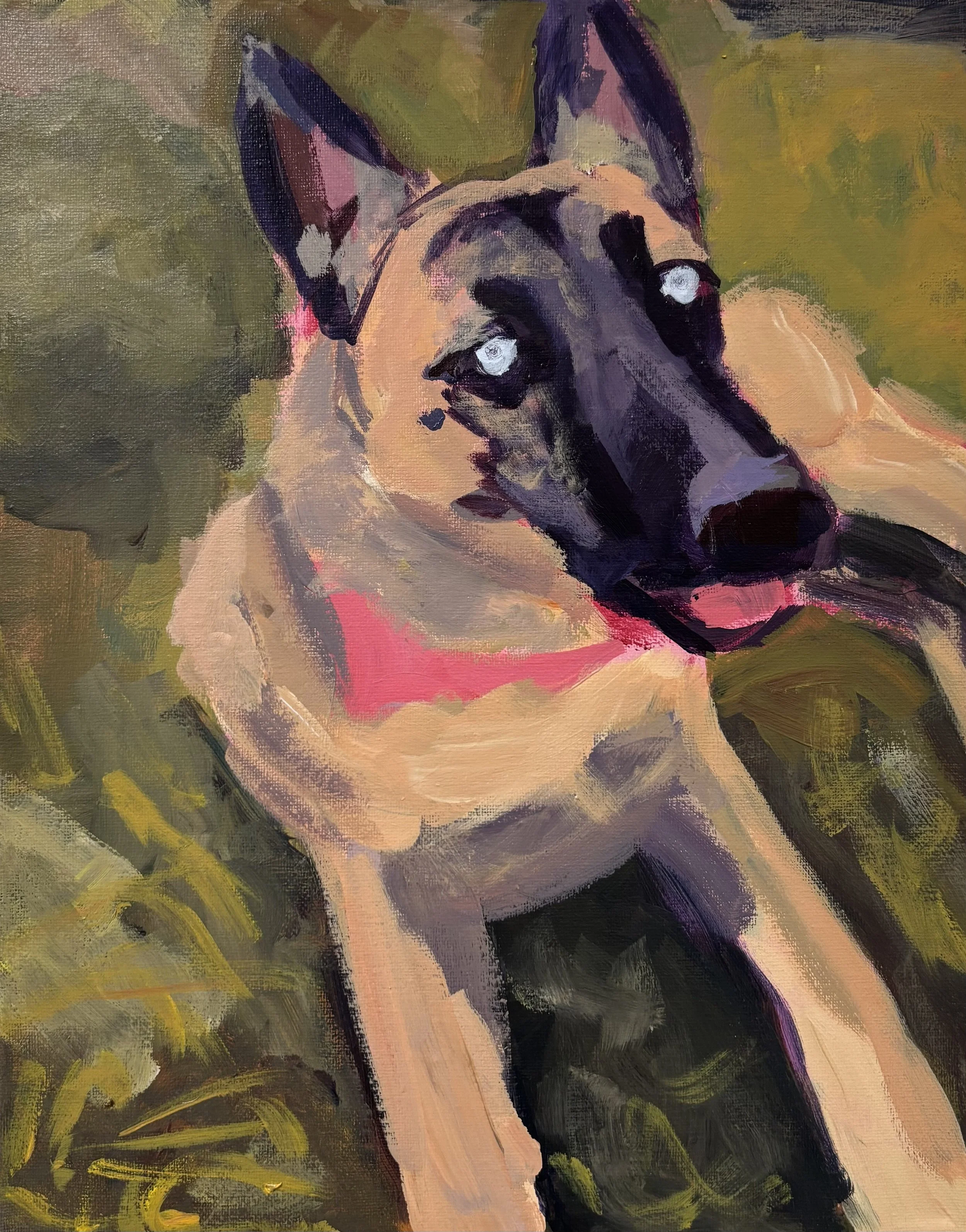 'Hachi Outside', 2025. Acrylic on canvas, 11 x 14 in. 