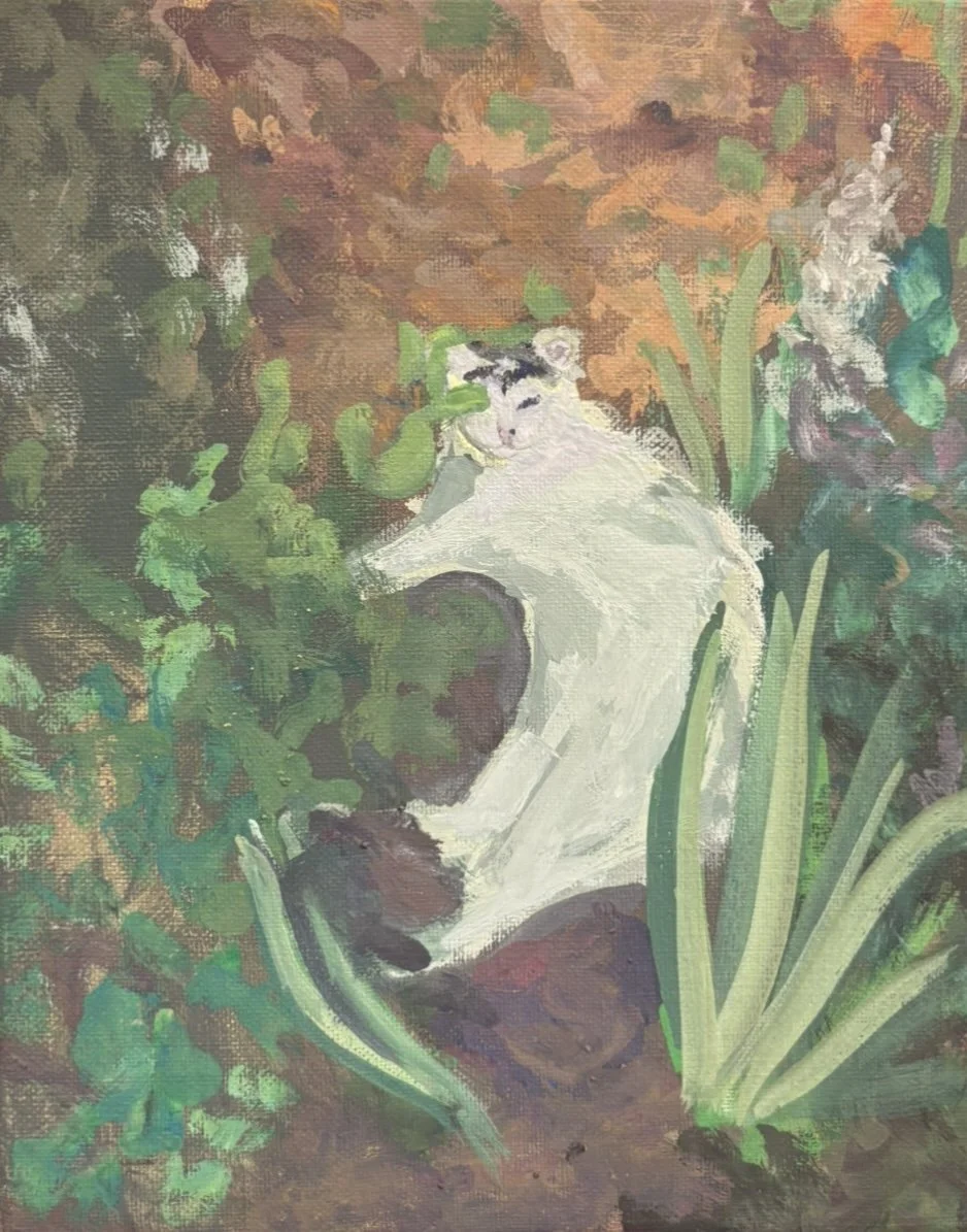 '83 Handsome in the Front Garden', 2025. Gouache on canvas, 8 x 10 in.