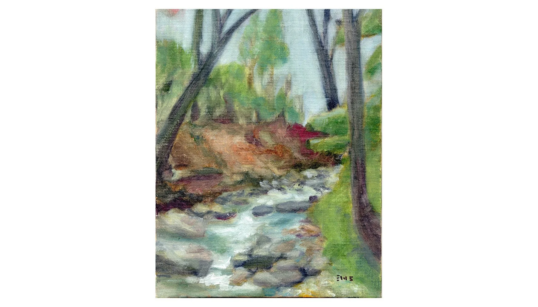 Asheville Botanical Garden