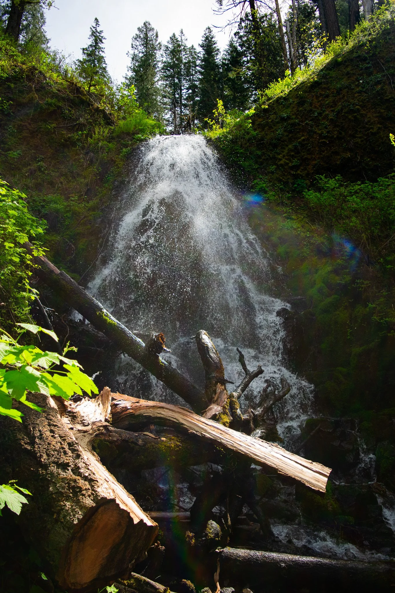 DSC_0165-2.jpg