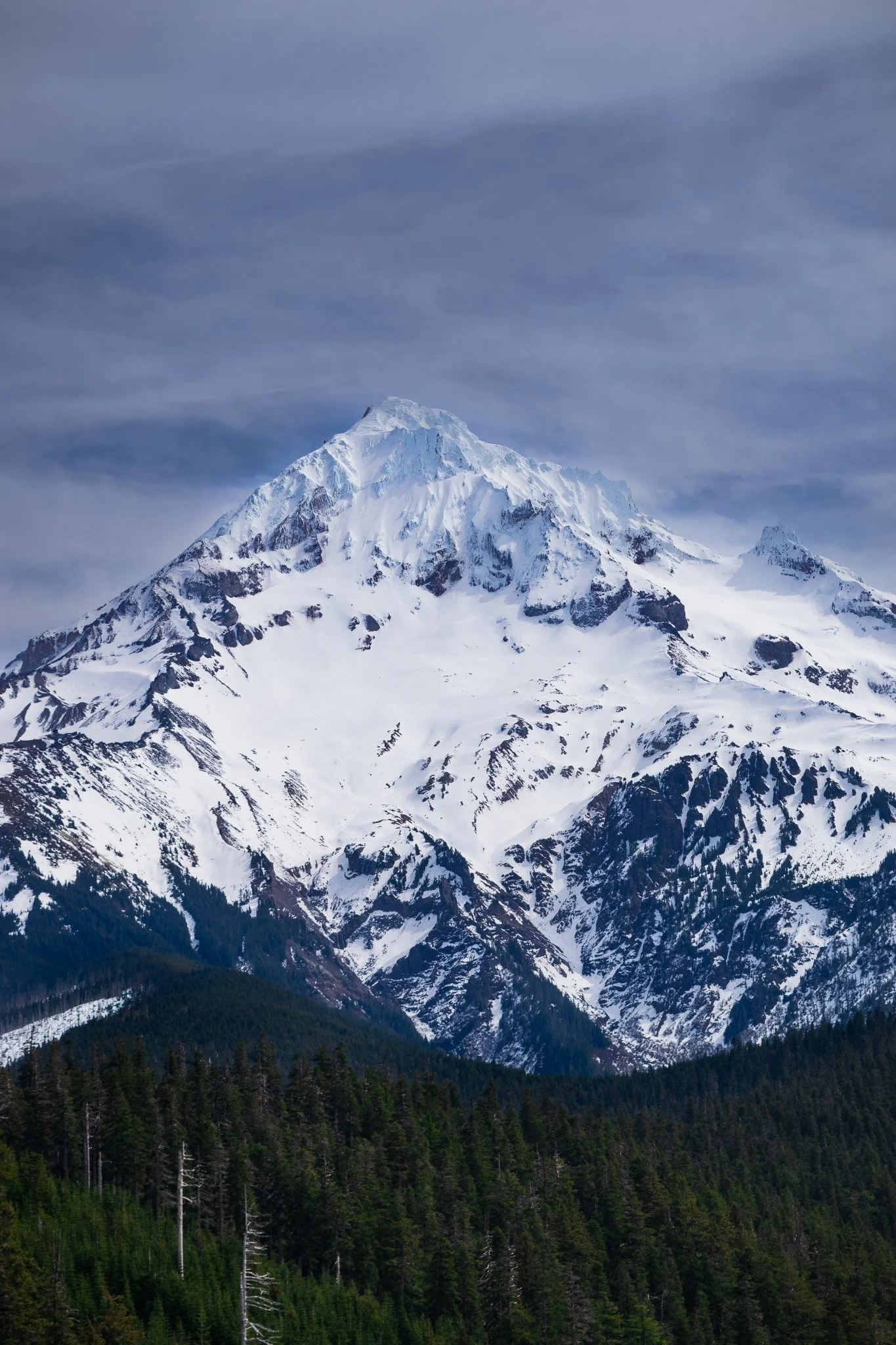 DSC_0072.jpg