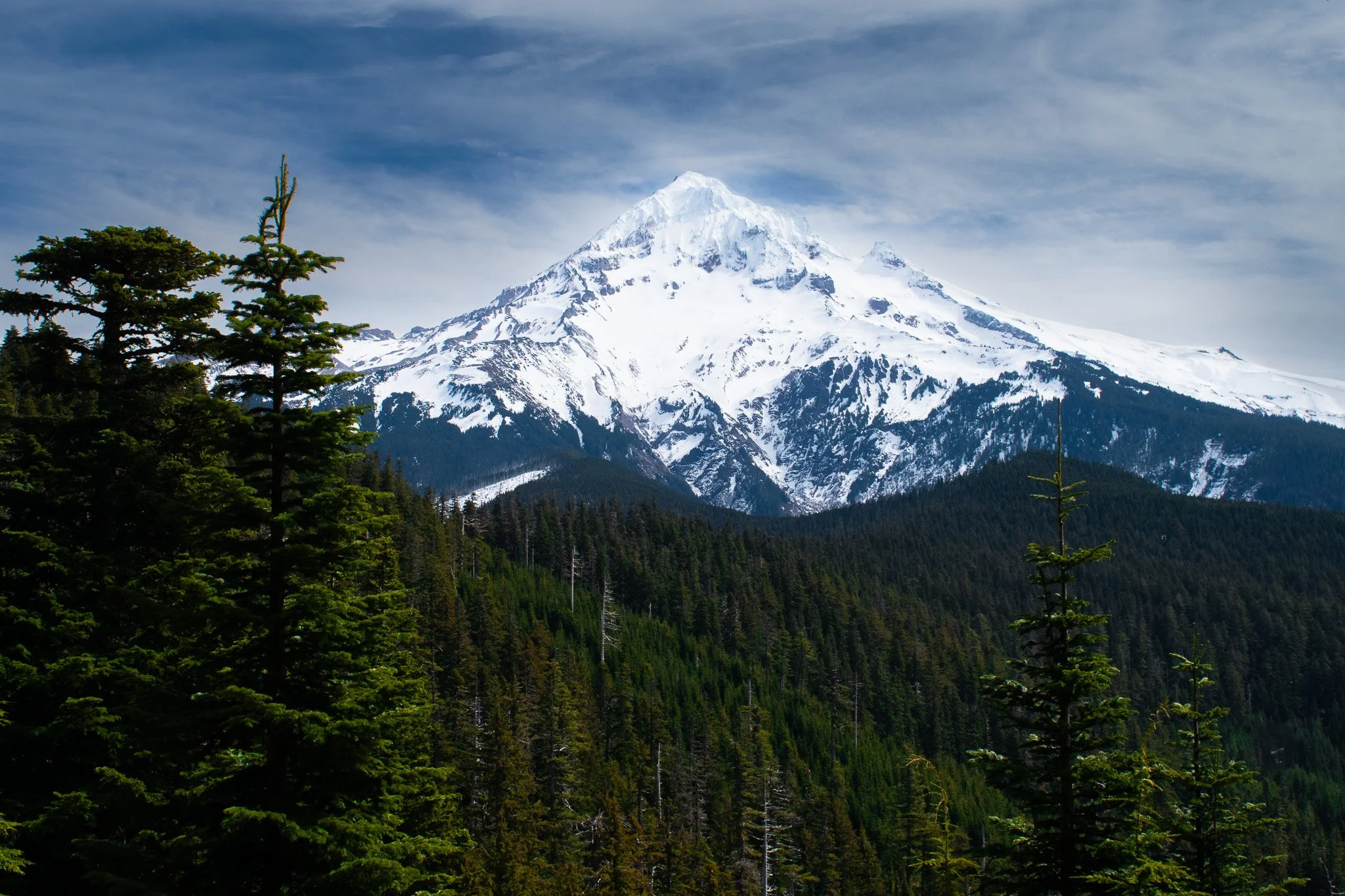 DSC_0050.jpg