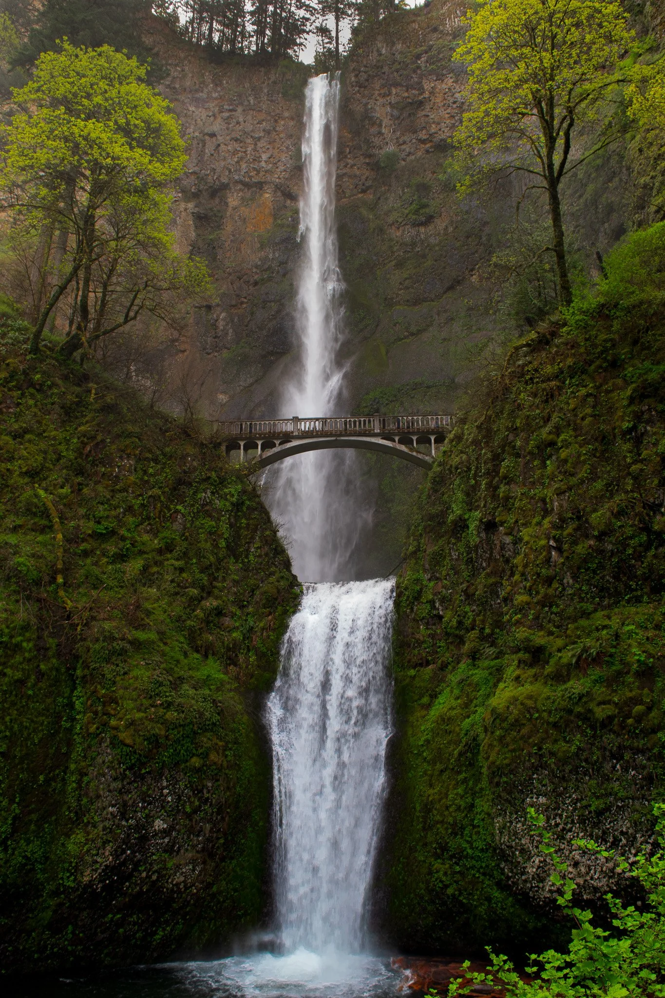 DSC_0079.jpg