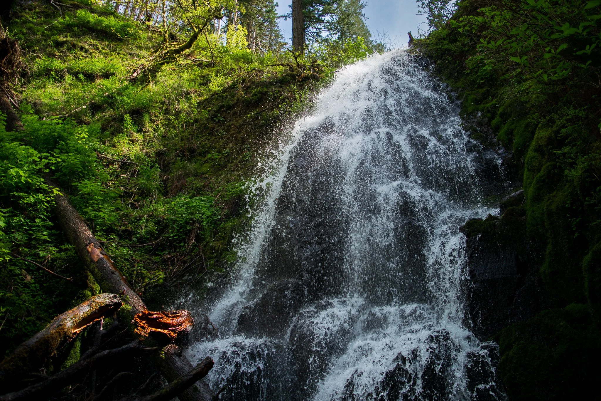 DSC_0161.jpg
