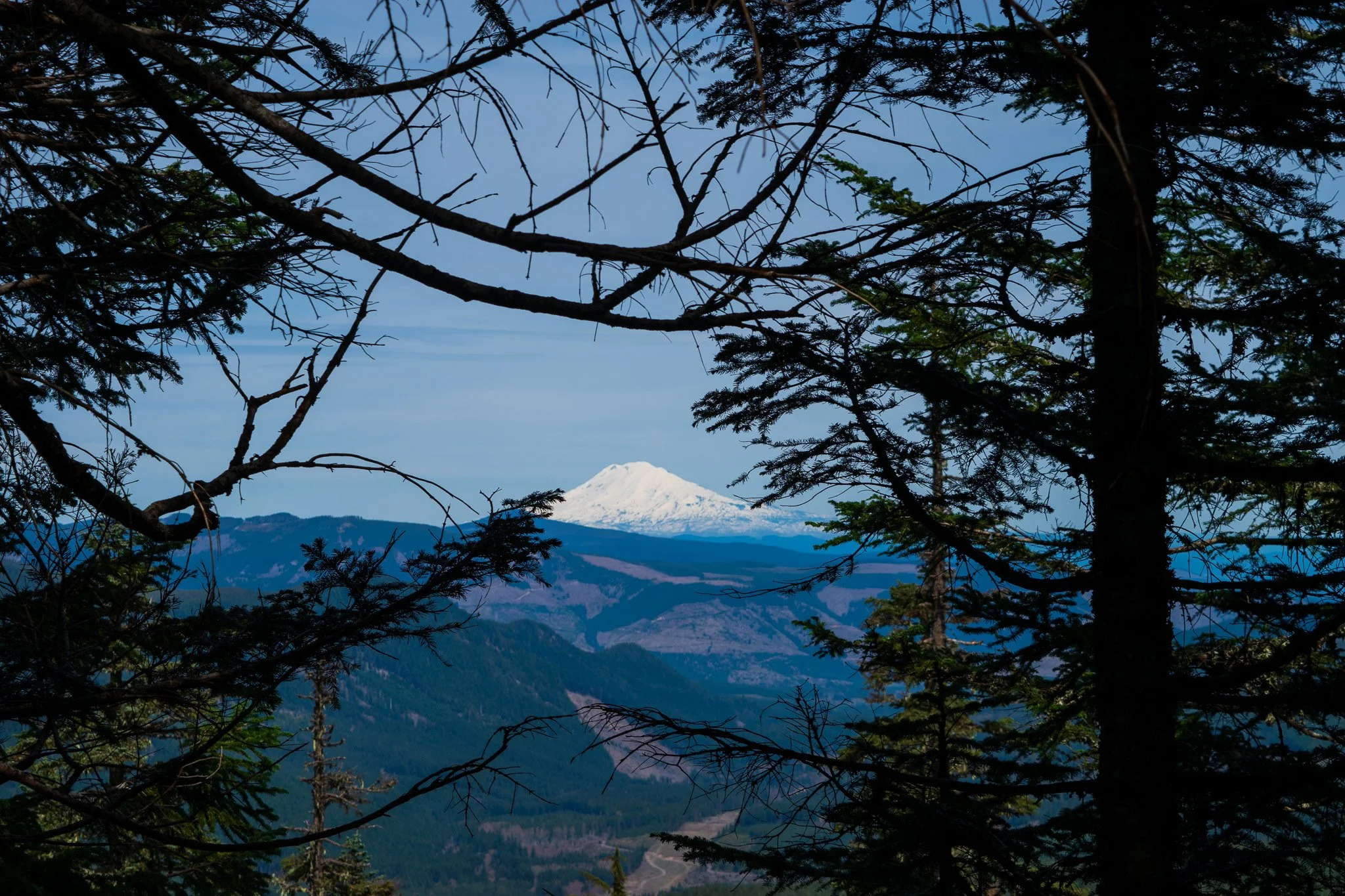 DSC_0033.jpg