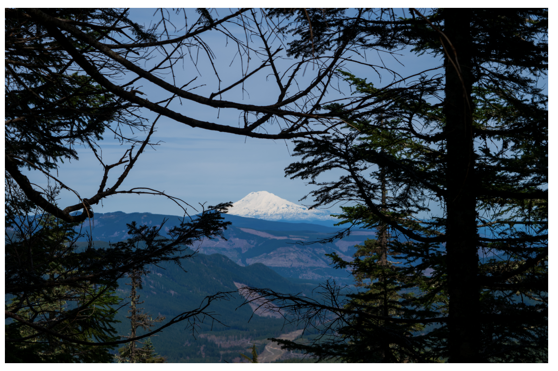 Mt Adams View