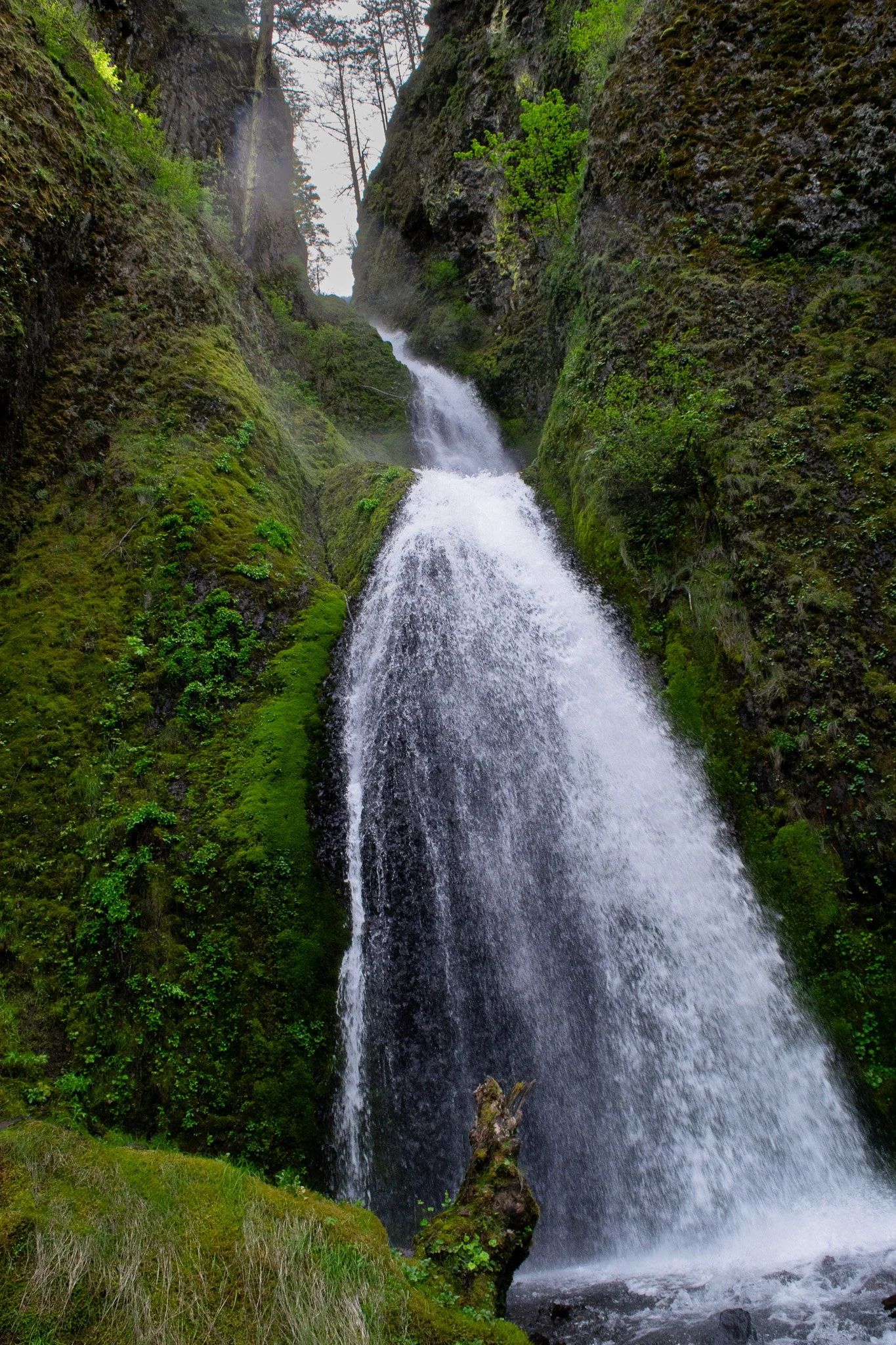 DSC_0186.jpg